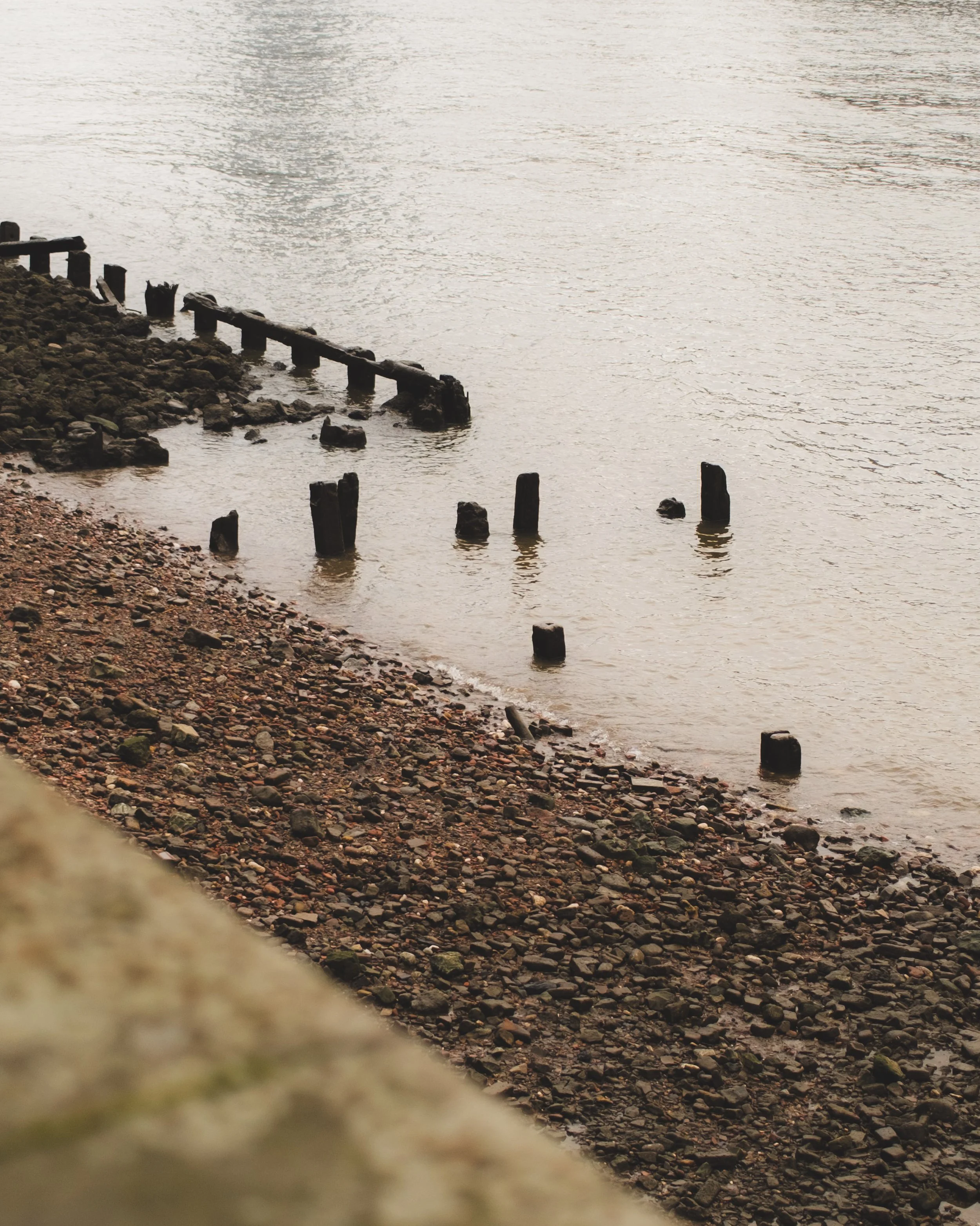 Close-up view of a rocky shoreline with scattered wooden posts and a calm body of water, possibly a river or lake, in the background.