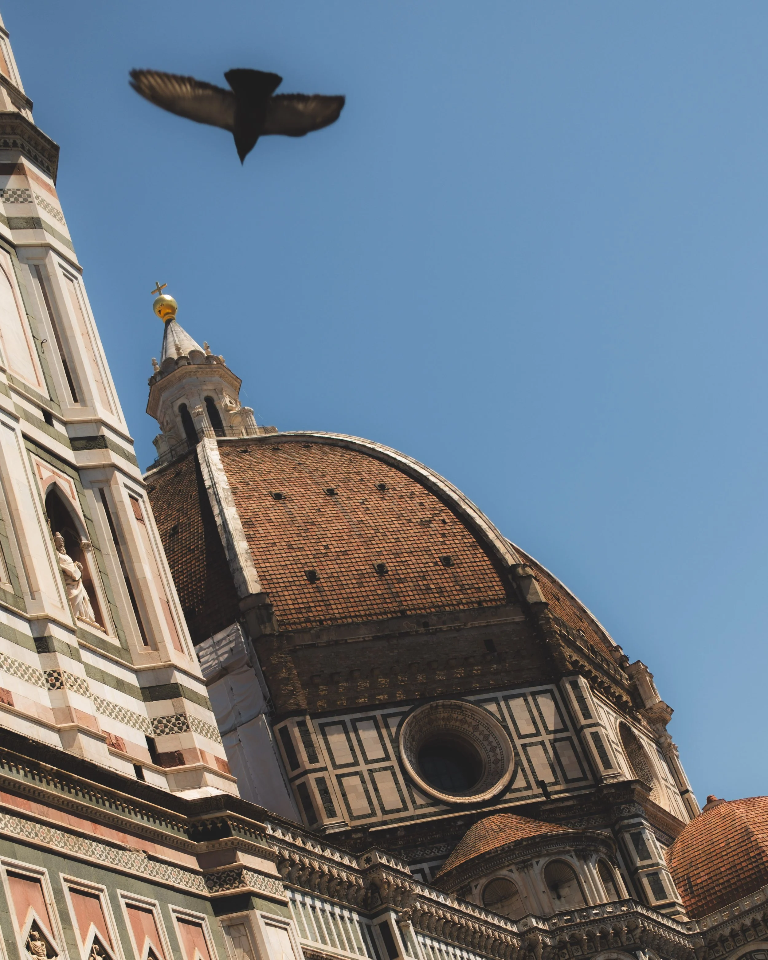 The dome of a historic Italian cathedral with detailed architectural decorations, seen from below, with a bird flying overhead against a plain sky. Lionel Chu - Hotel & Travel Photographer