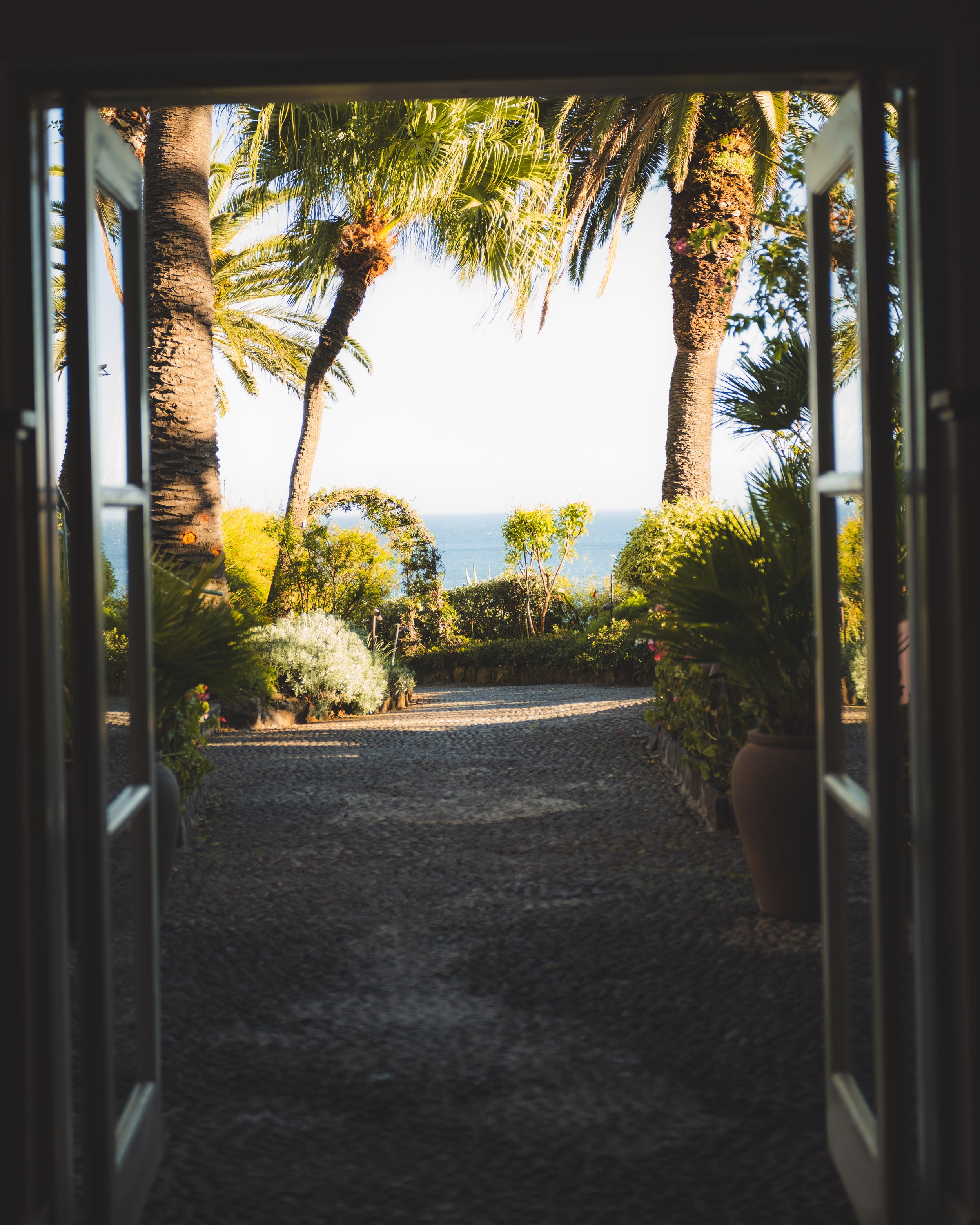 View through a window showing palm trees, bushes, and the ocean in the distance.