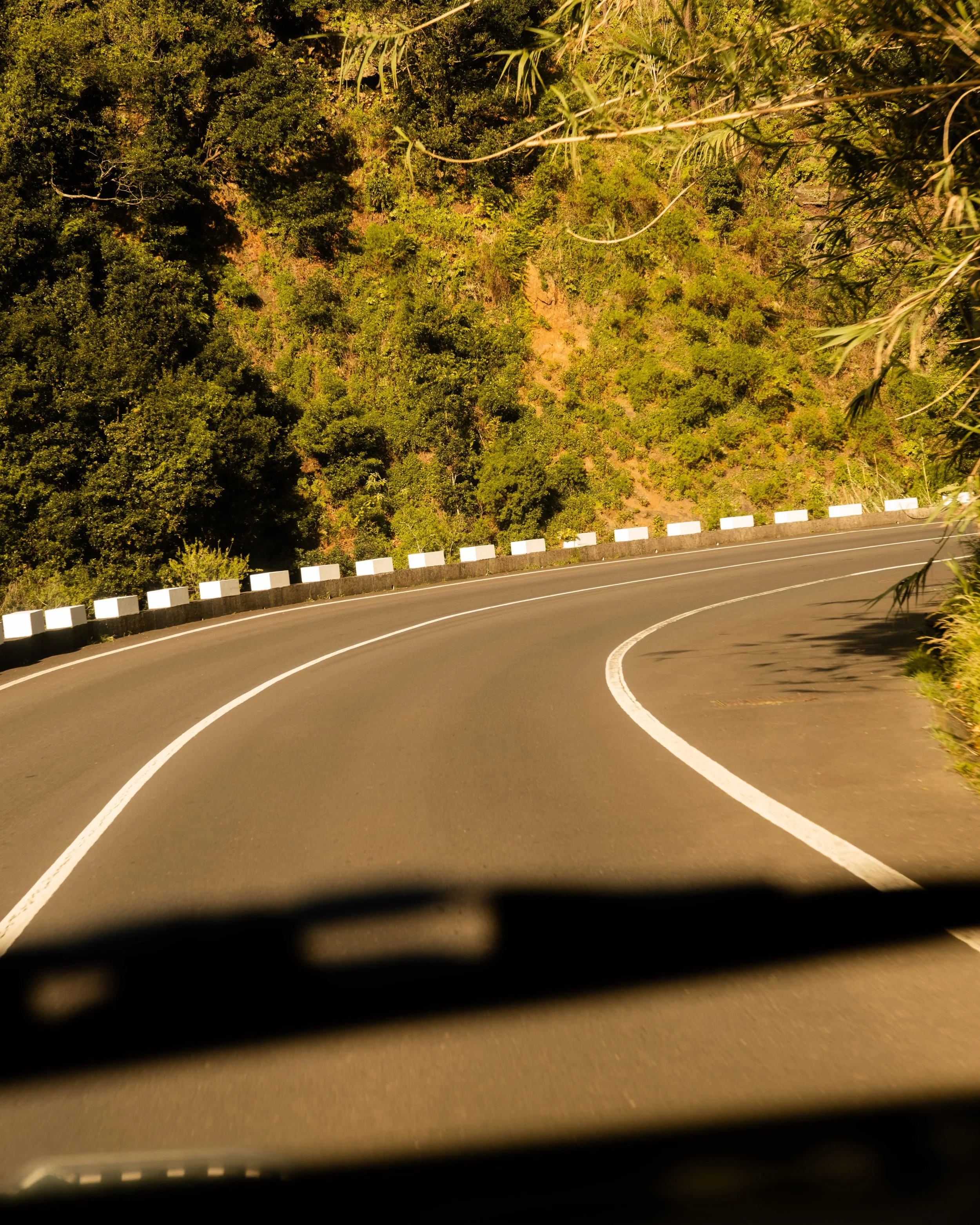 A winding mountain road bordered by a concrete barrier with white and black blocks, and a hillside covered with dense green vegetation.