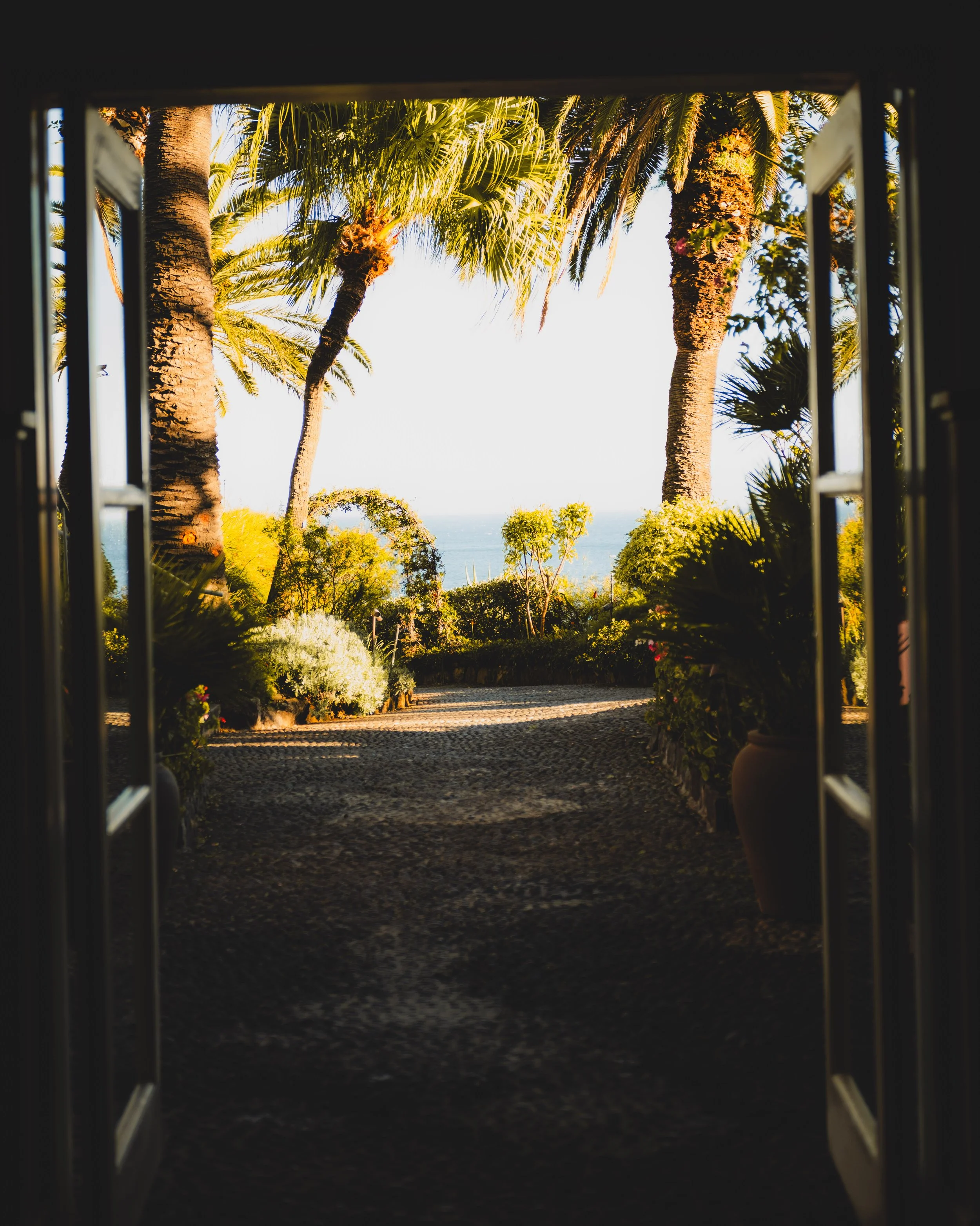View of palm trees, greenery, and the ocean seen through an open window with dark frame, indoor shadows in foreground.