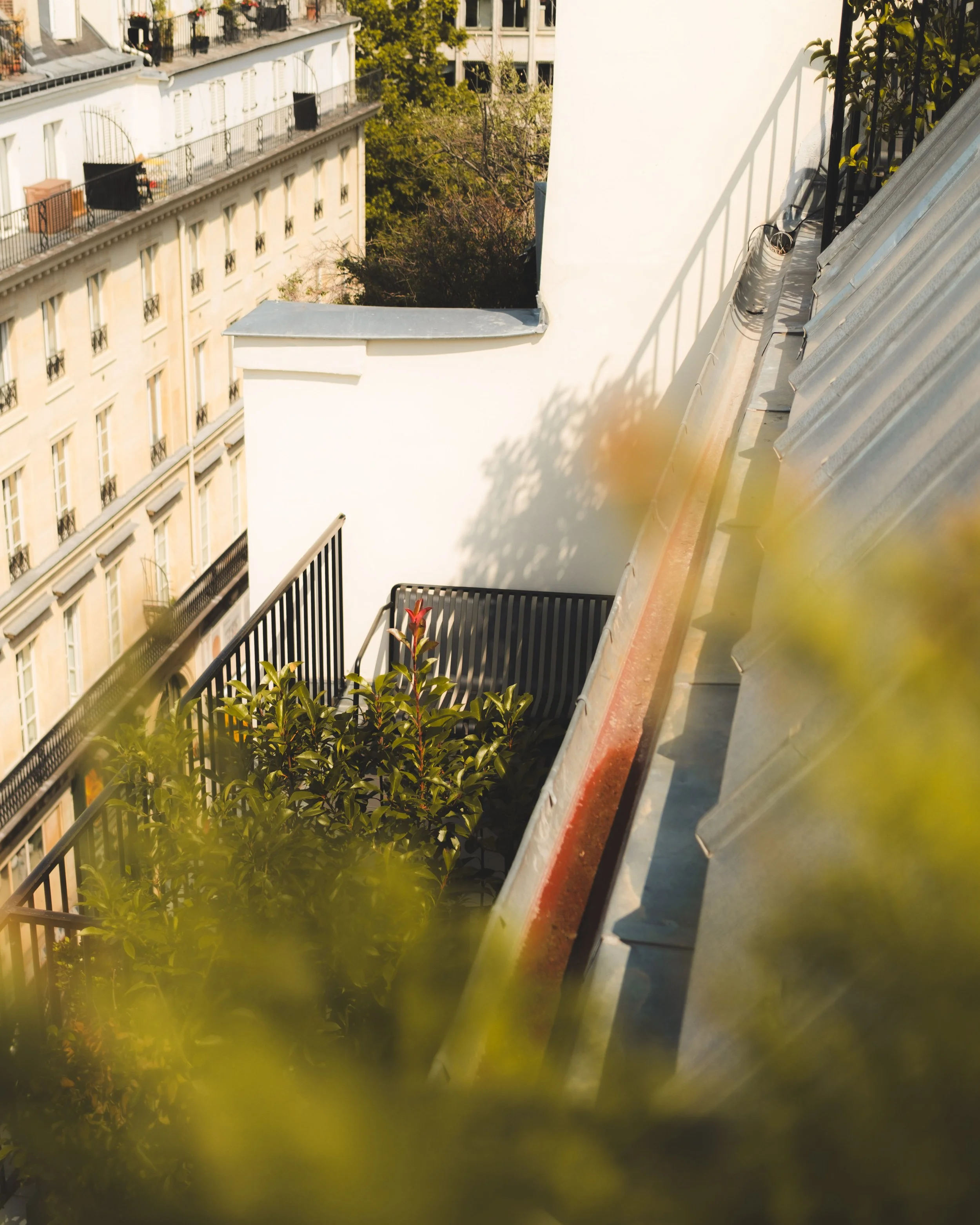 View from a balcony showing neighboring classic European-style apartment building with balconies, trees, and a rooftop terrace, as well as some blurred greenery in the foreground.