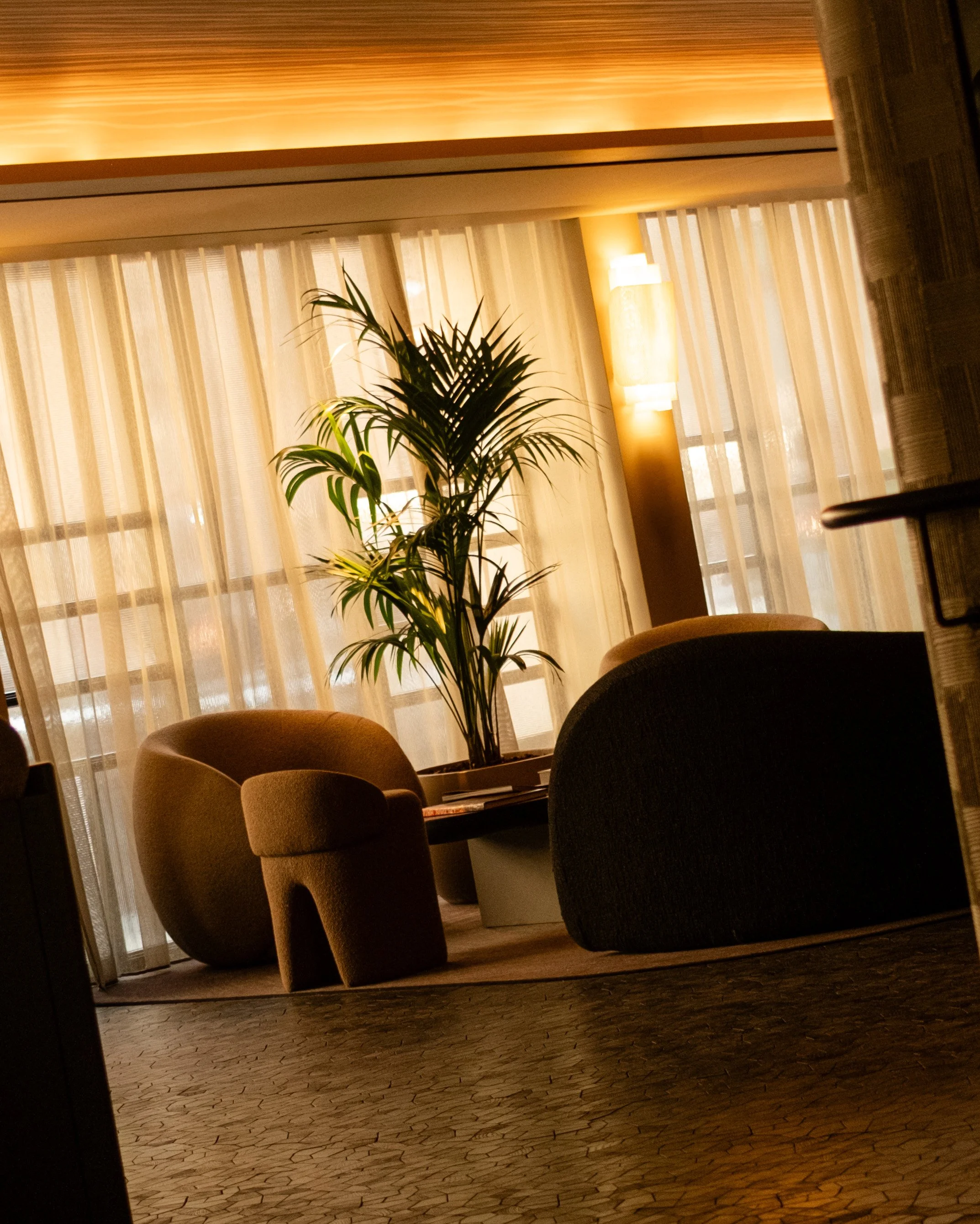 Hotel lobby with a large potted plant, frosted glass curtains, and modern chairs. Lionel Chu - Hotel & Travel Photographer