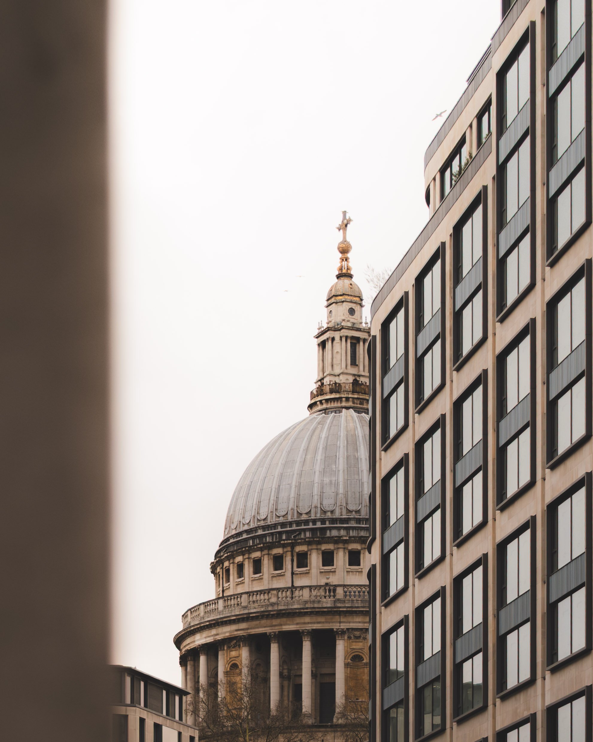 A city scene featuring historic architecture with a prominent domed building, juxtaposed with modern office buildings with large glass windows.