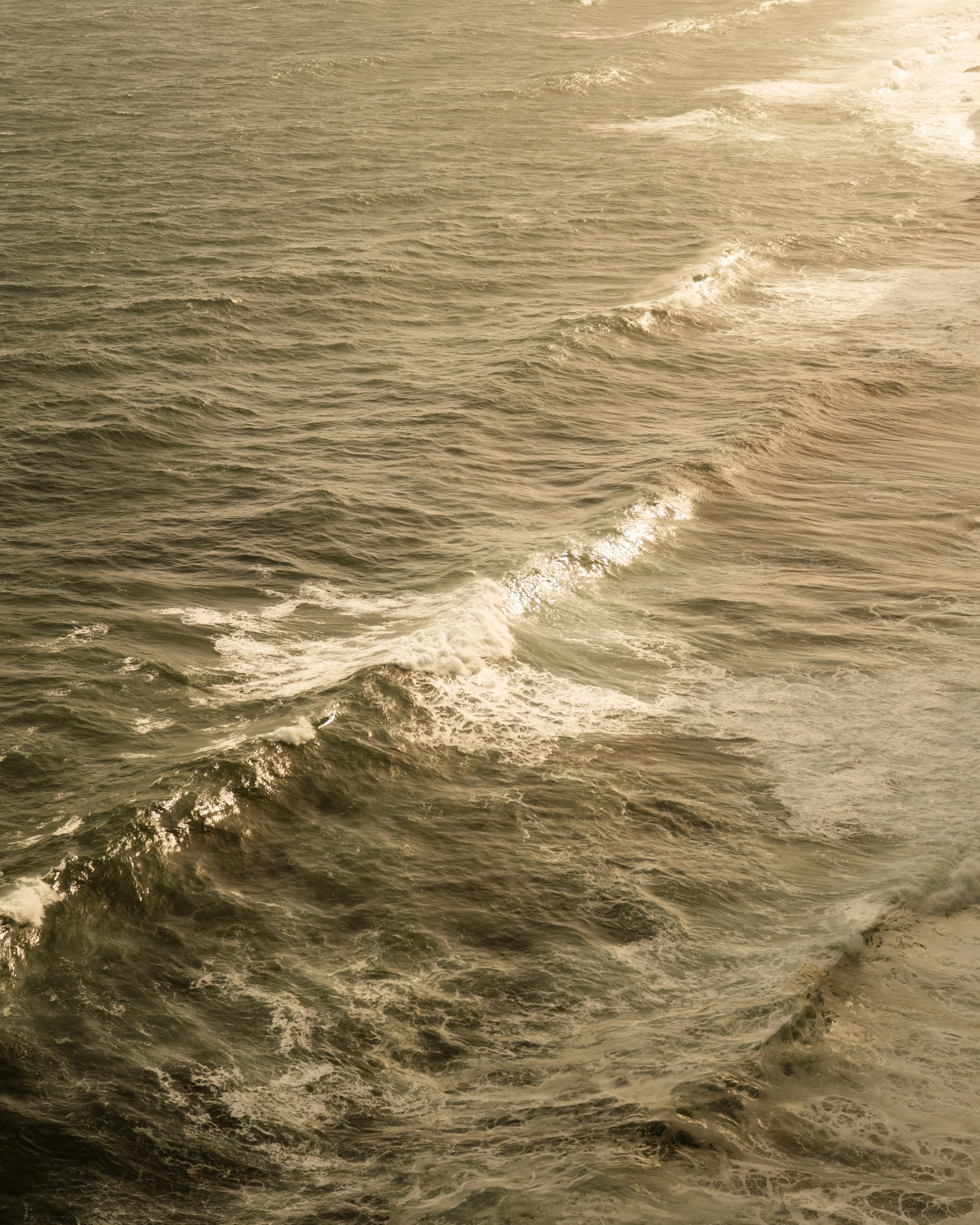 Ocean waves in a golden sunset or sunrise lighting.