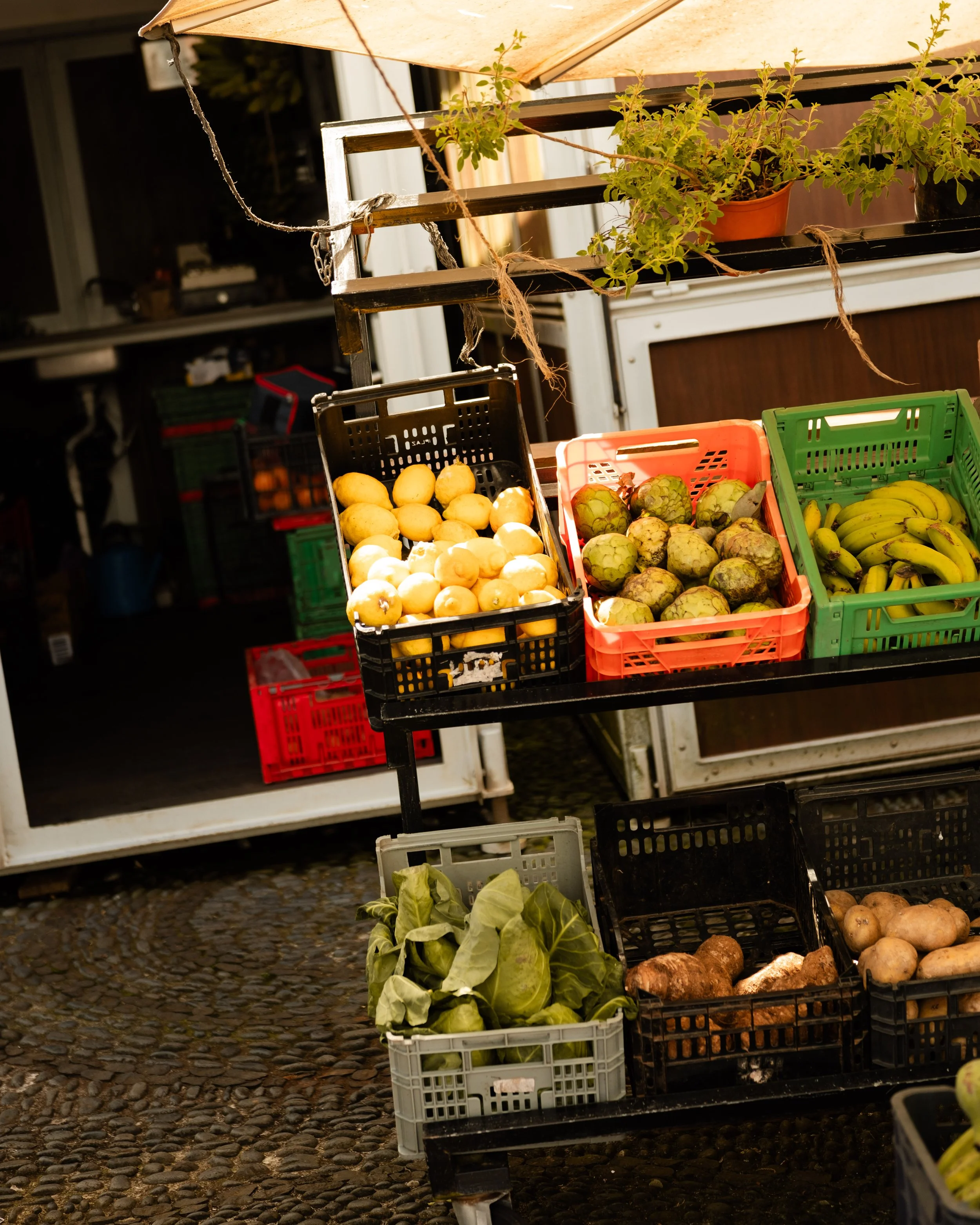Street vendor stand with crates of produce, including potatoes, artichokes, bananas, and cabbages, set up outdoors on a cobblestone surface under a canopy.