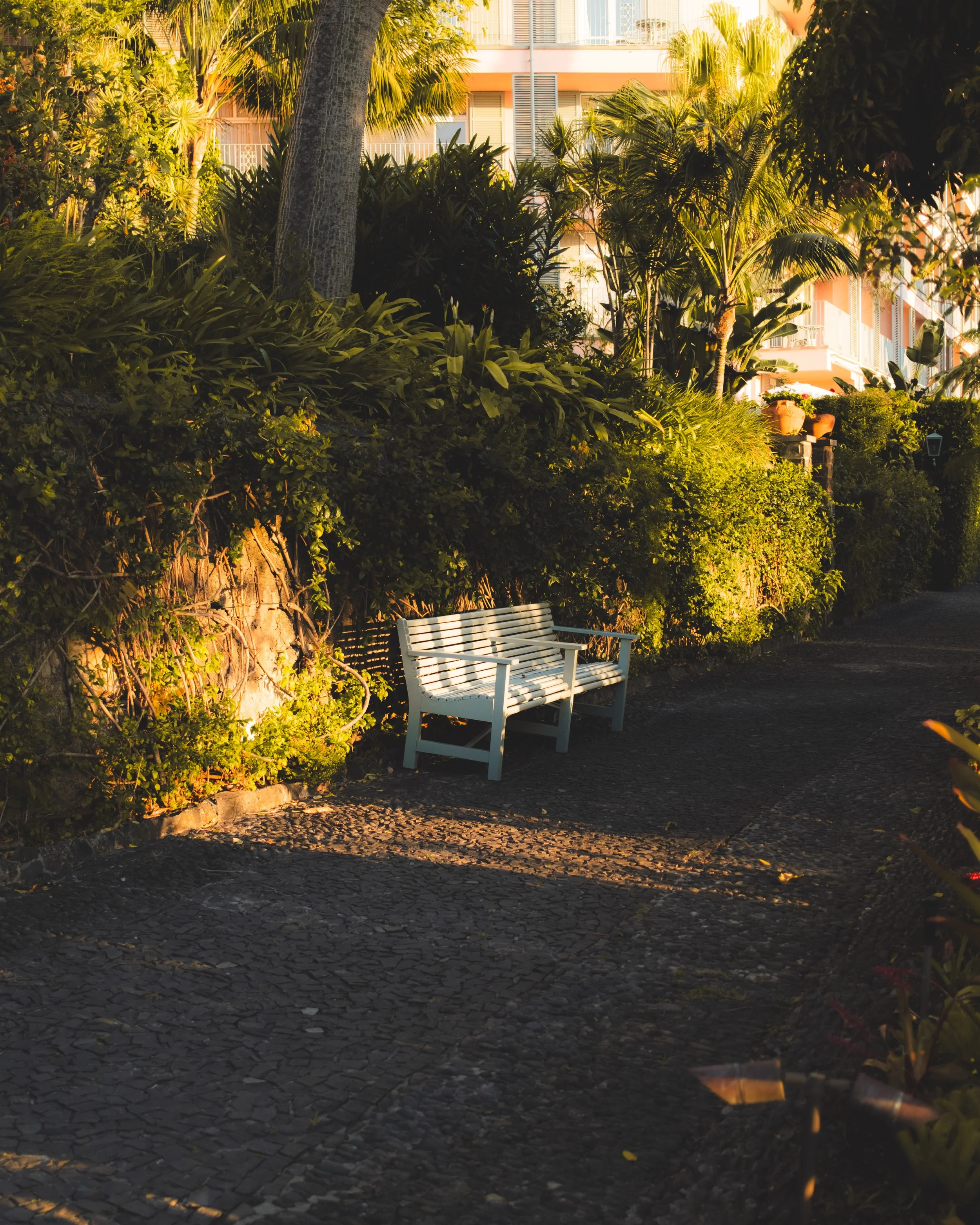 A white metal park bench on a stone-paved pathway surrounded by lush green bushes and trees, with a building in the background illuminated by warm sunlight.