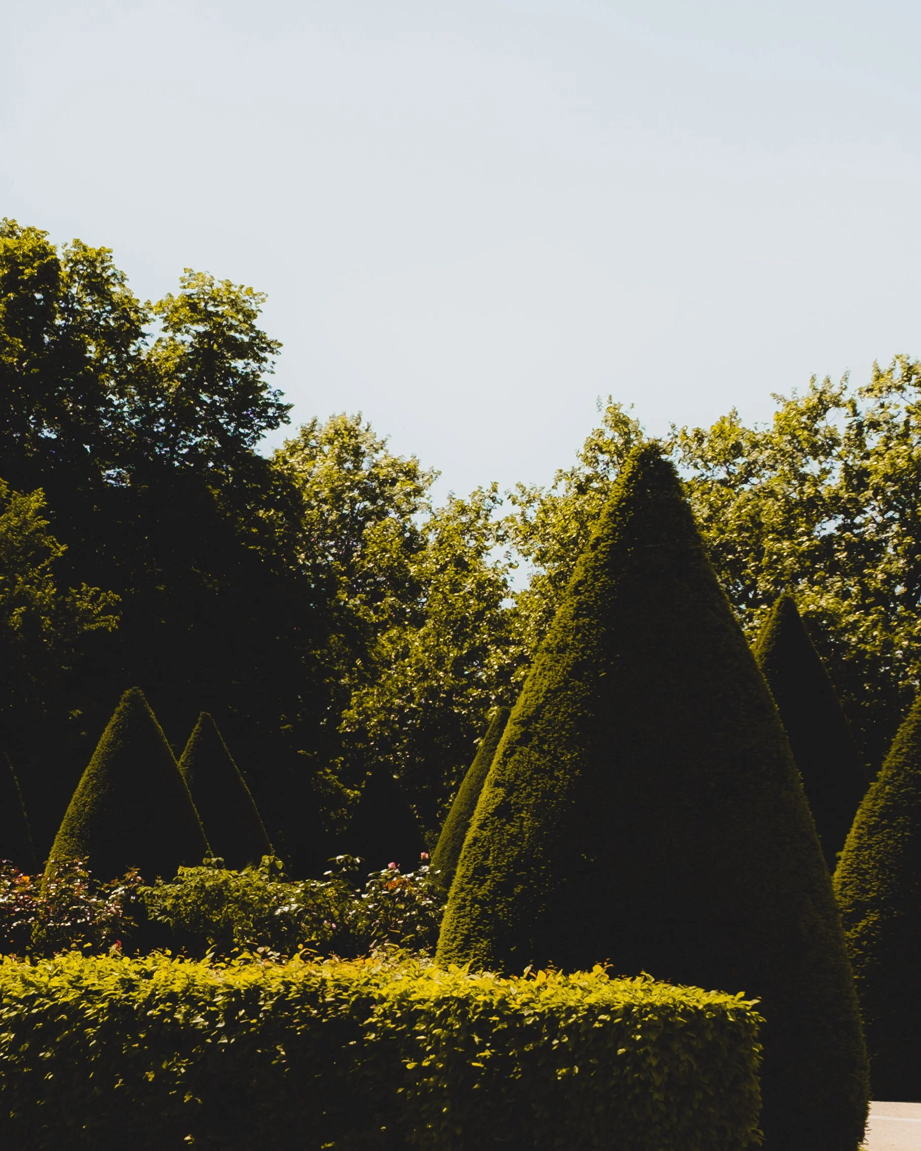 Neatly manicured garden with conical topiary trees and green hedges under a clear sky. Musée Rodin. Lionel Chu - Hotel & Travel Photographer.