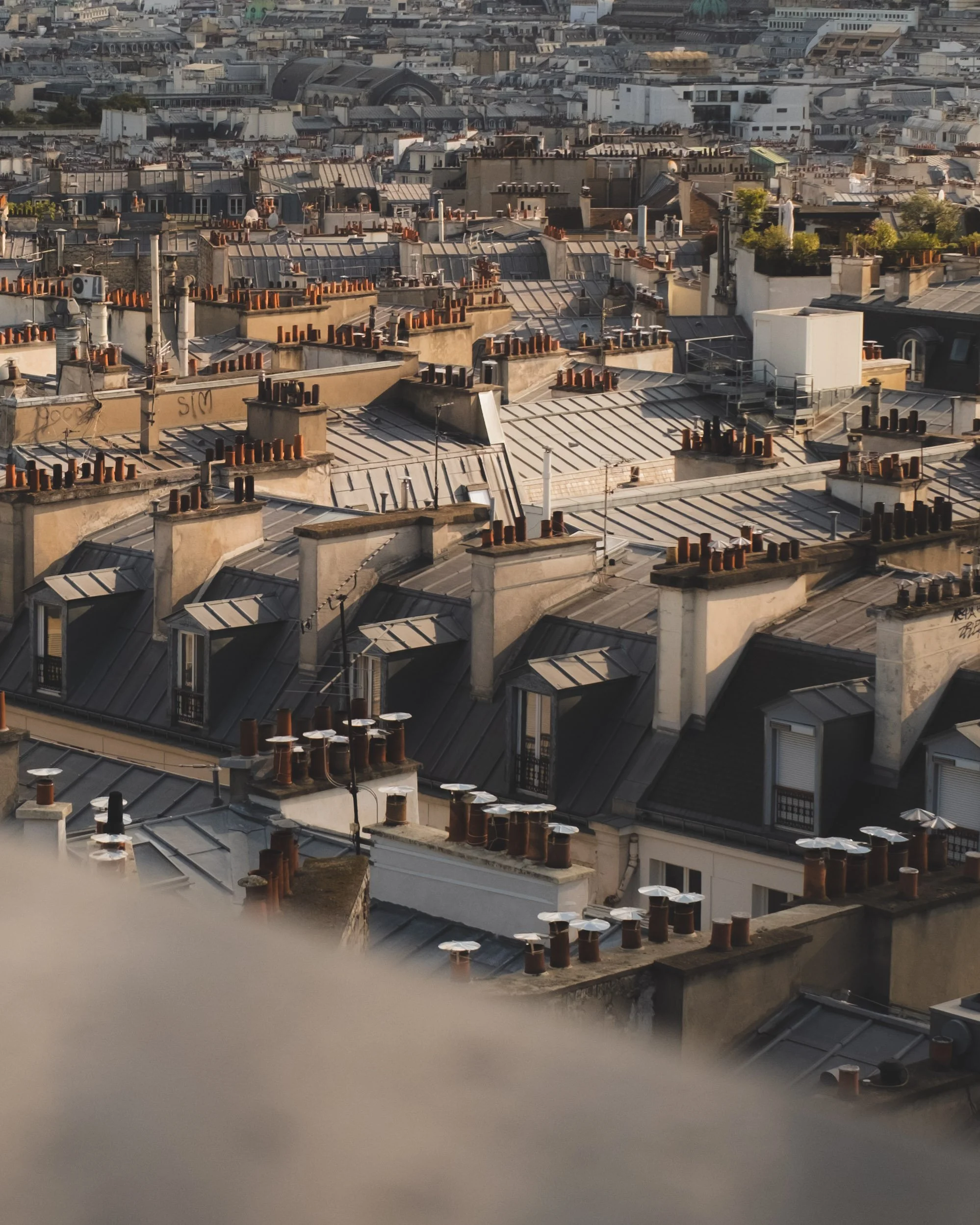 City rooftops with numerous chimneys and rooftop structures, with a distant view of other buildings and architectural features.