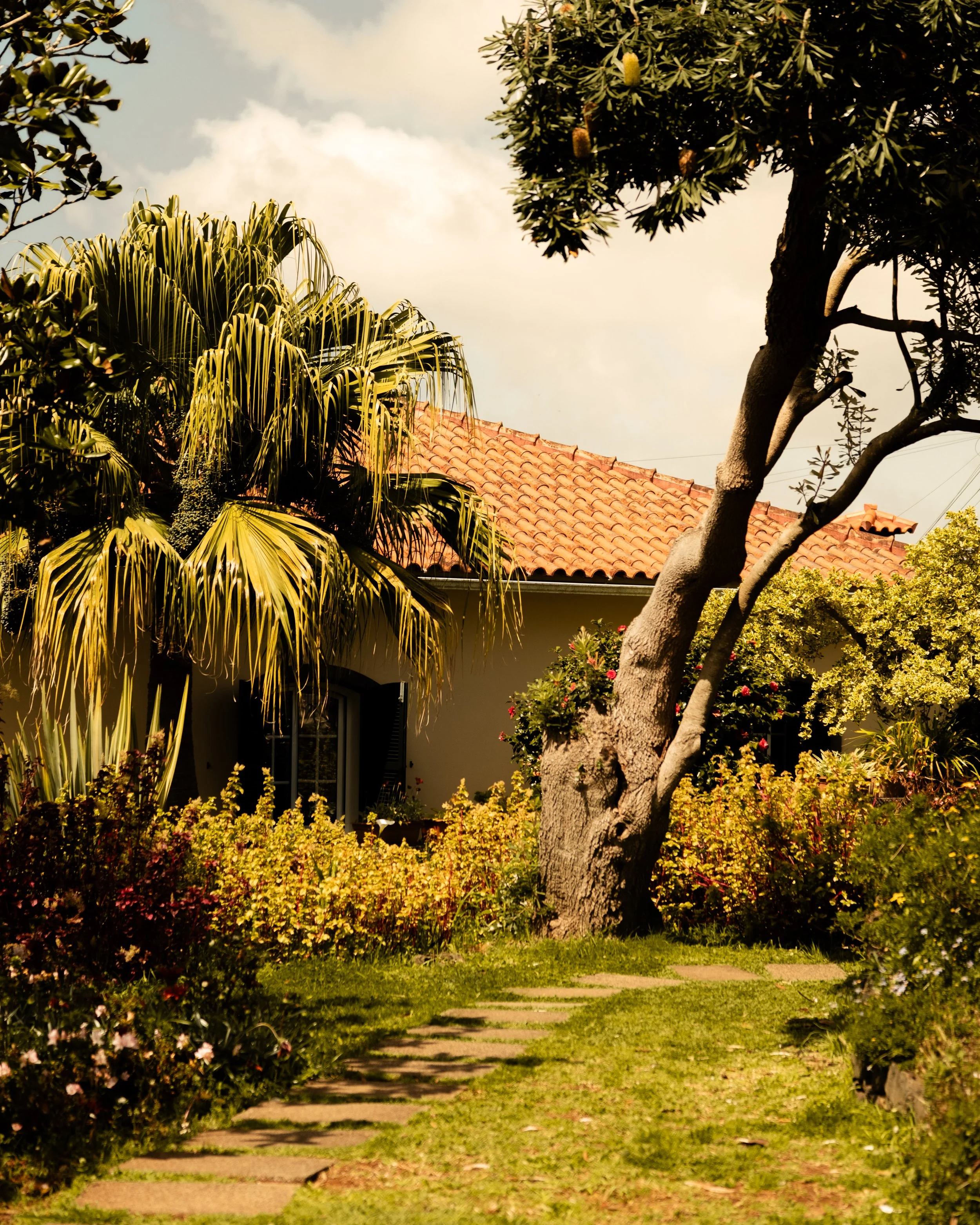 A residential yard with a house that has a red tile roof and a front porch. The yard features lush green grass, a pathway of stepping stones, and a large tree with a thick trunk and aeriel and shrubbery with flowers around.