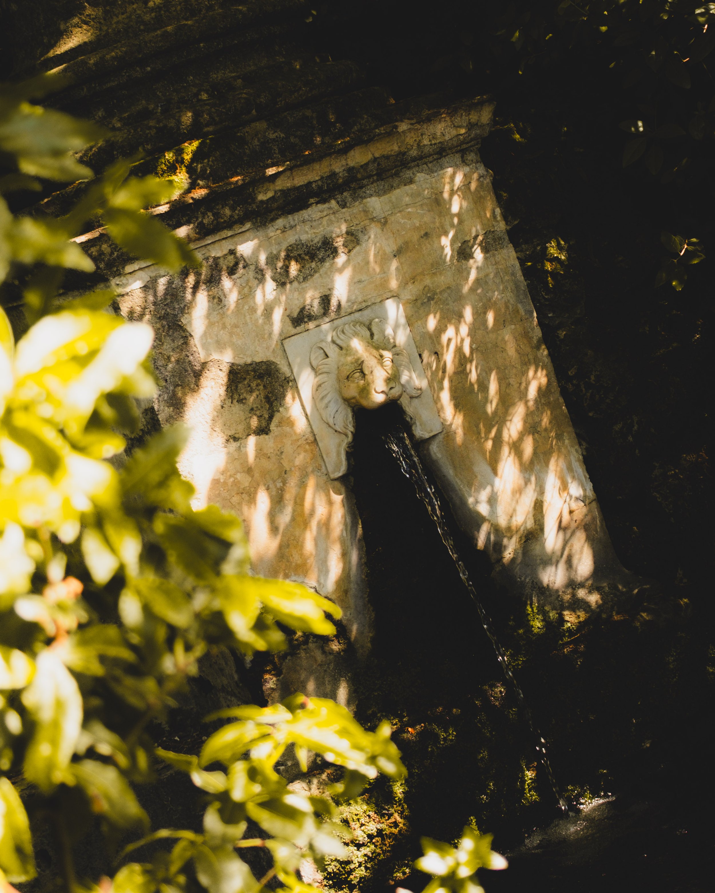 Fountain with a lion's head spout in a garden, surrounded by greenery and shadows. Lionel Chu - Hotel & Travel Photographer