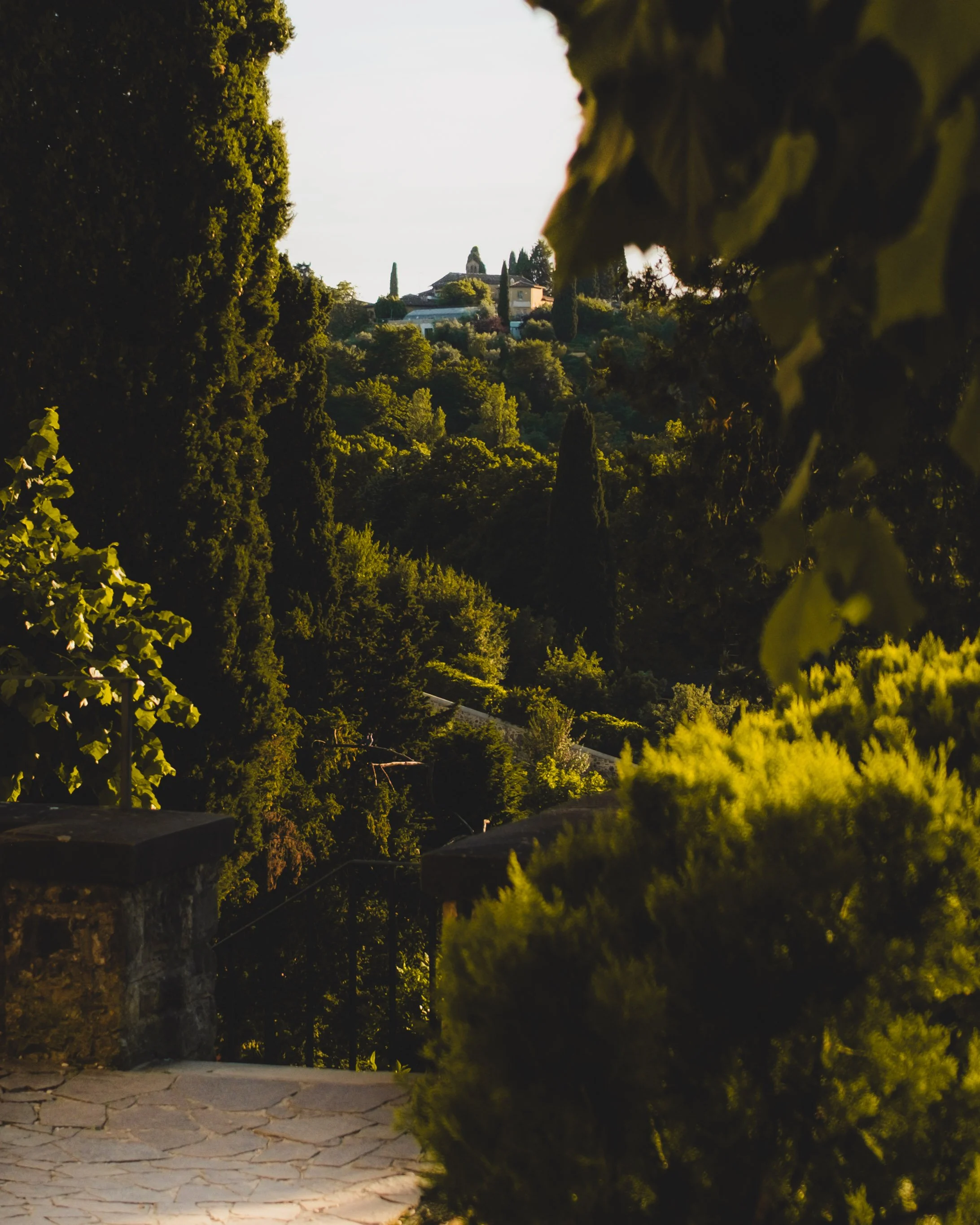Tree-lined hillside with houses in the distance, framed by leaves and greenery, sunset lighting. Lionel Chu - Hotel & Travel Photographer