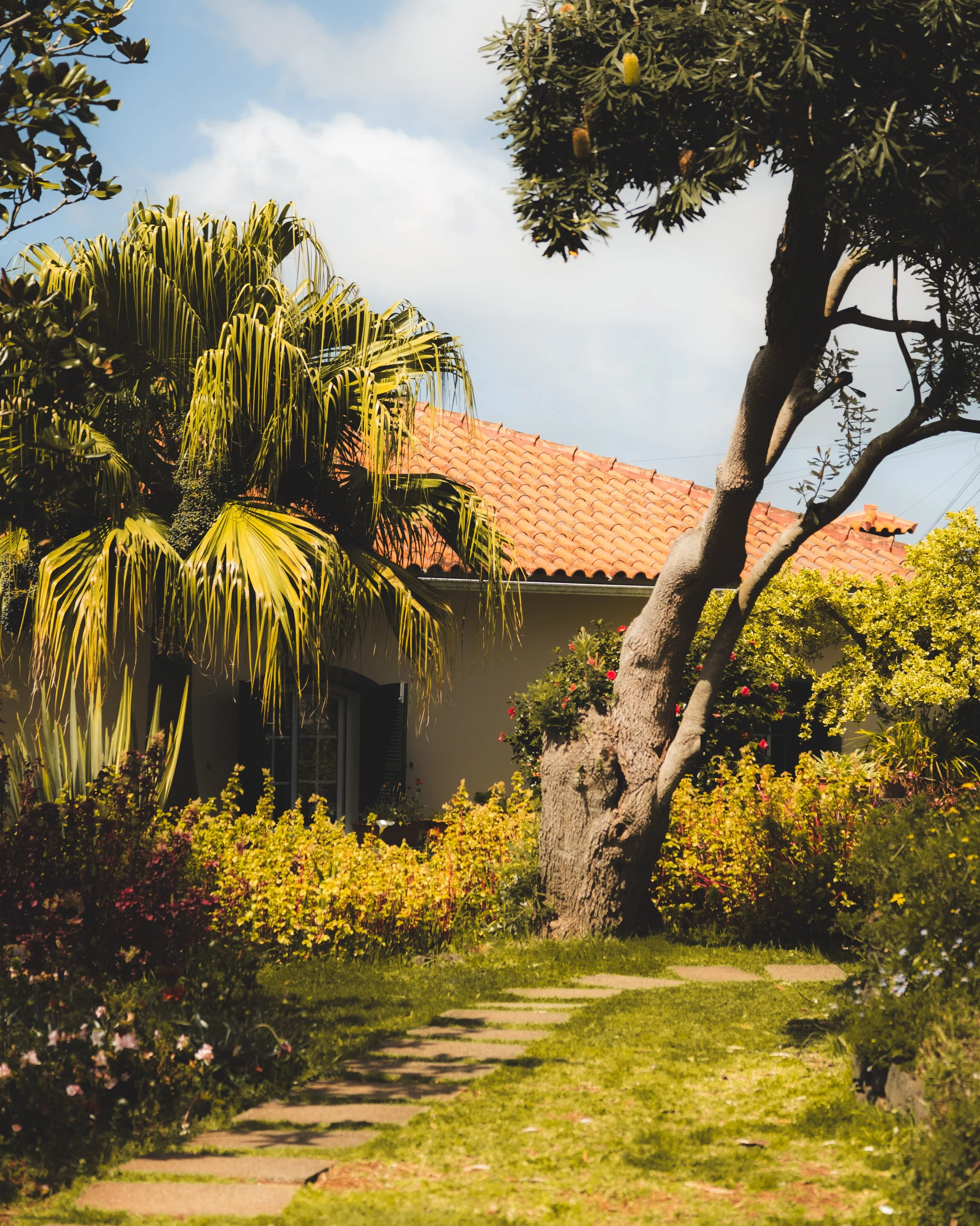 A residential yard with a house that has a red tile roof and a front porch. The yard features lush green grass, a pathway of stepping stones, and a large tree with a thick trunk and aeriel and shrubbery with flowers around.