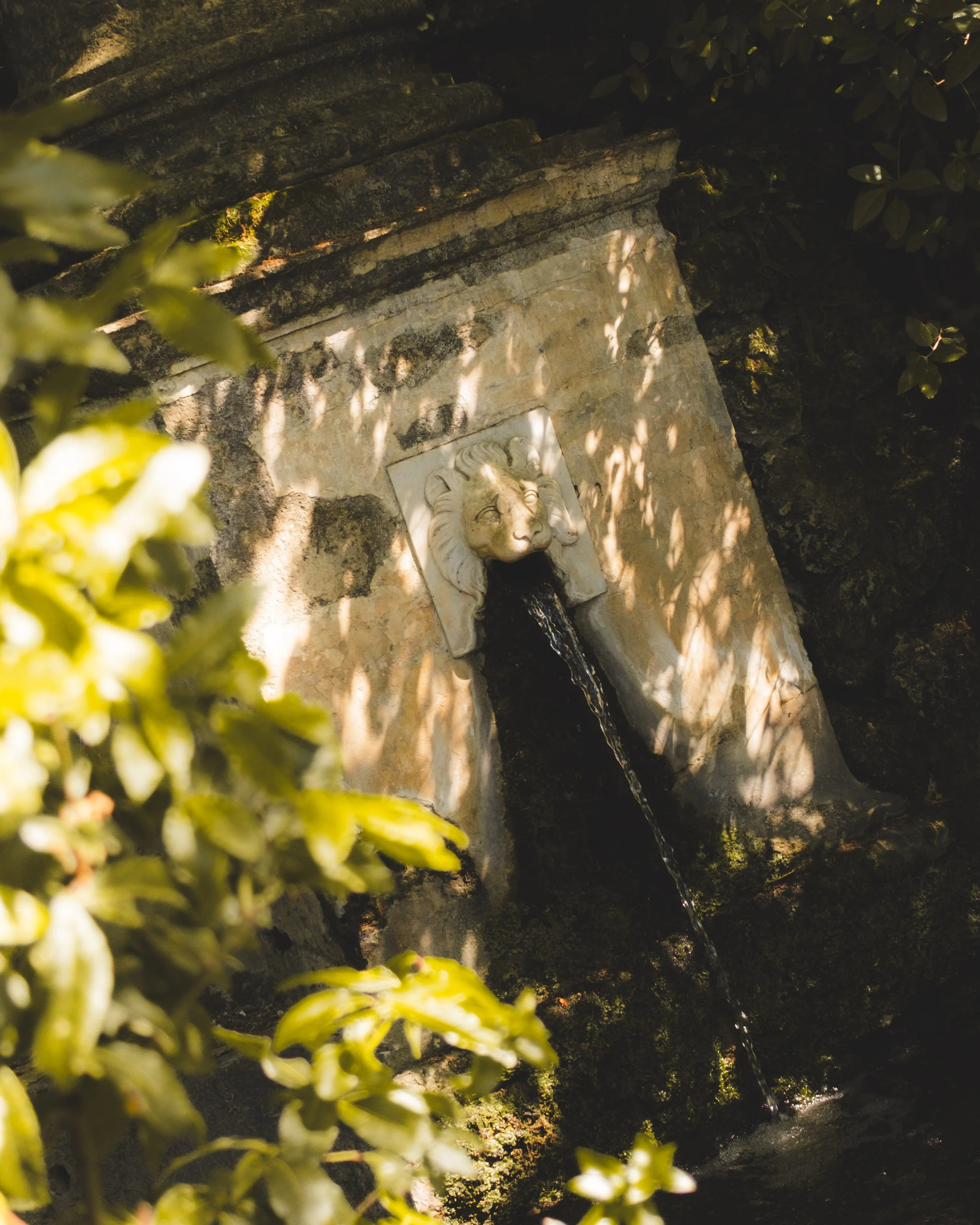 Fountain with a lion's head spout in a garden, surrounded by greenery and shadows. Lionel Chu - Hotel & Travel Photographer