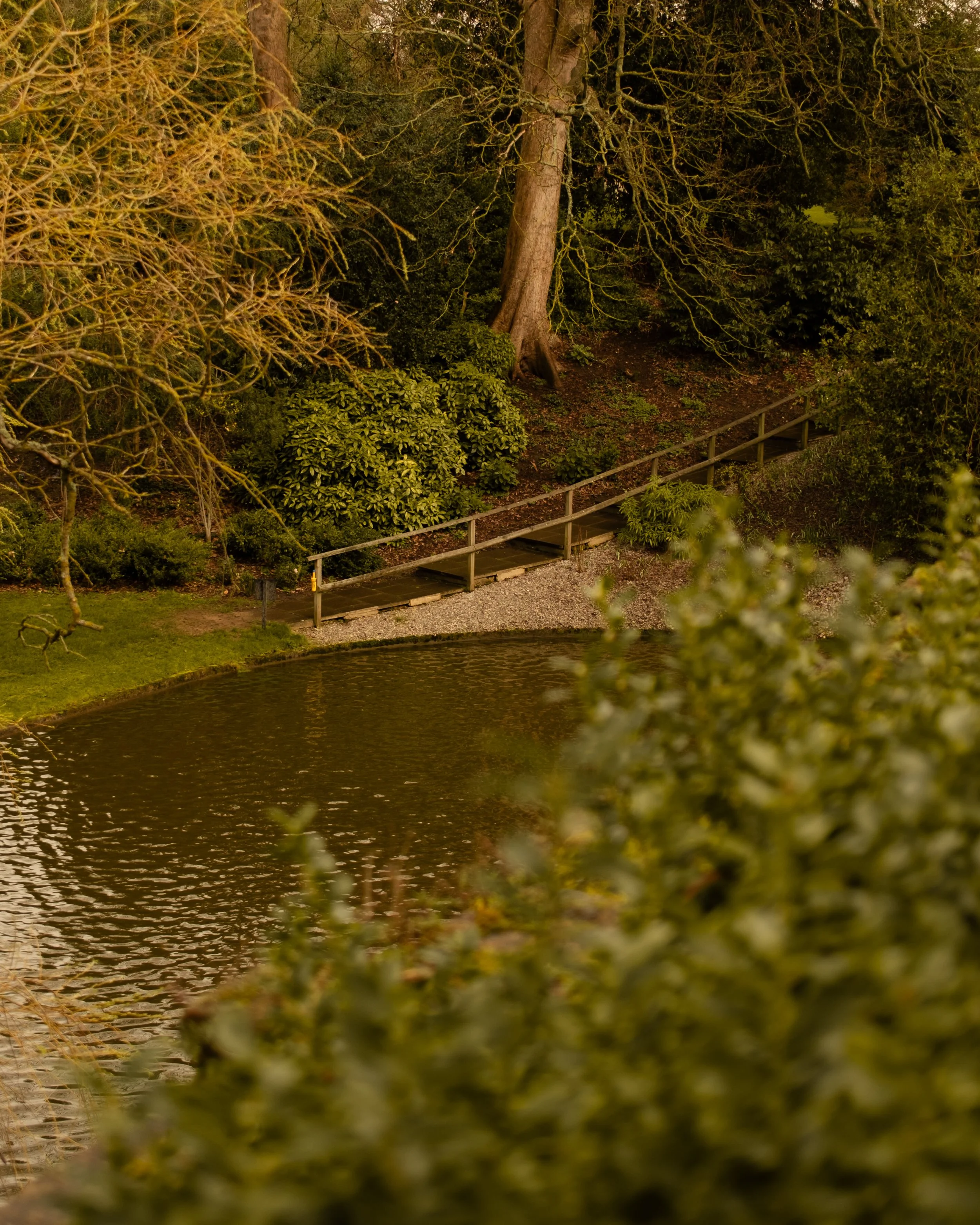 A small lake with rippling water surrounded by trees and shrubs, with a narrow wooden bridge leading into a wooded area. Lionel Chu - Hotel & Travel Photographer
