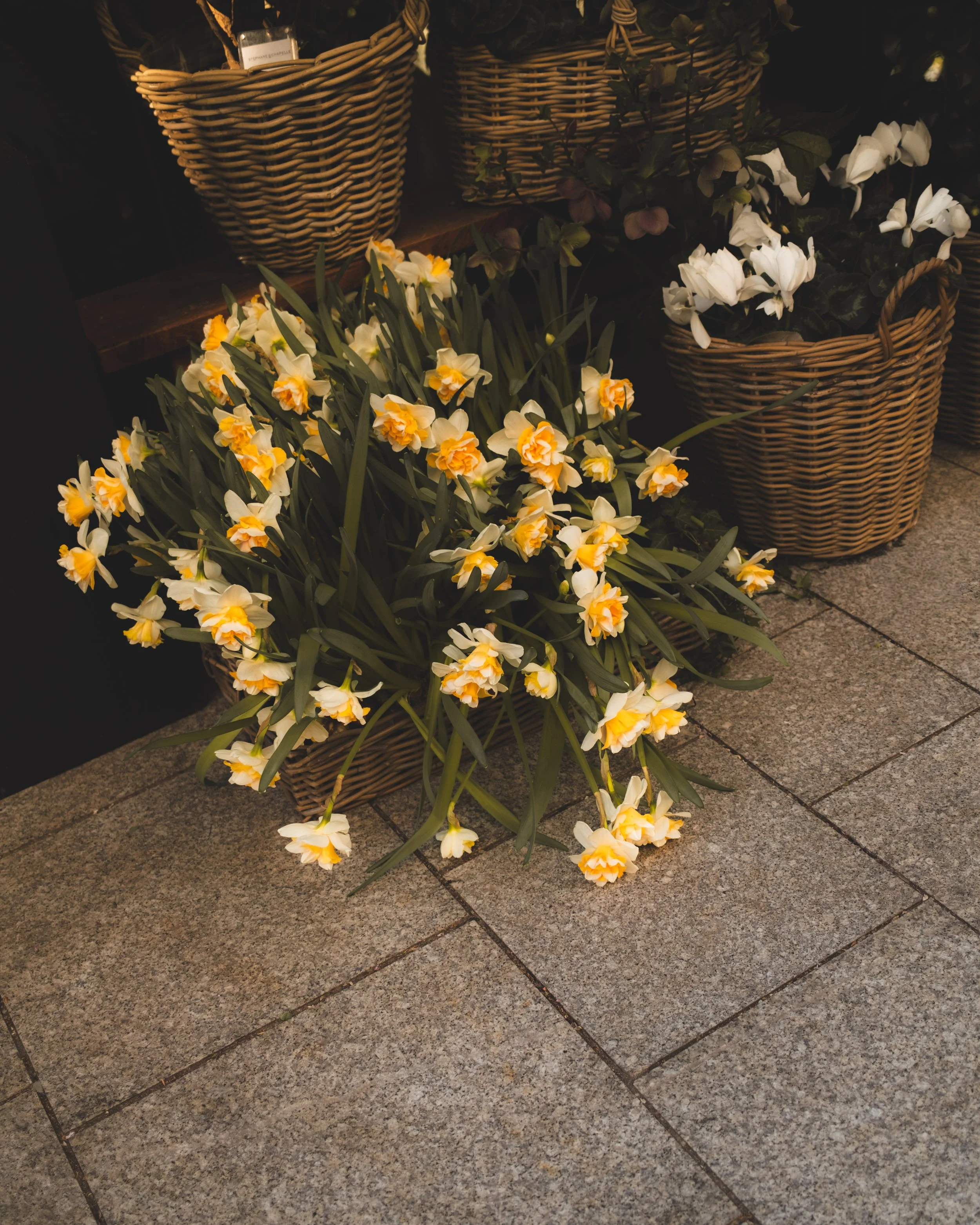 A bouquet of yellow and white daffodils resting on a floor made of square stone tiles. There are woven baskets with plants in the background.