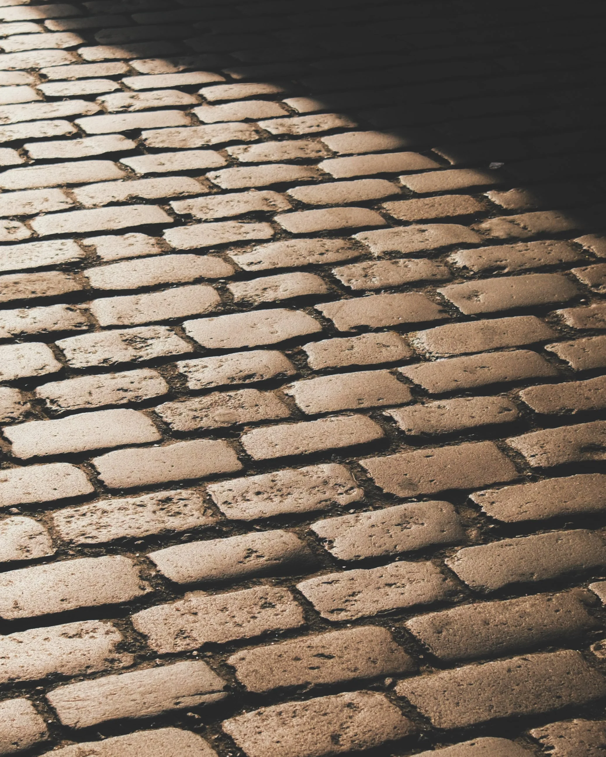 Close-up view of a cobblestone street with shadows cast across the stones.