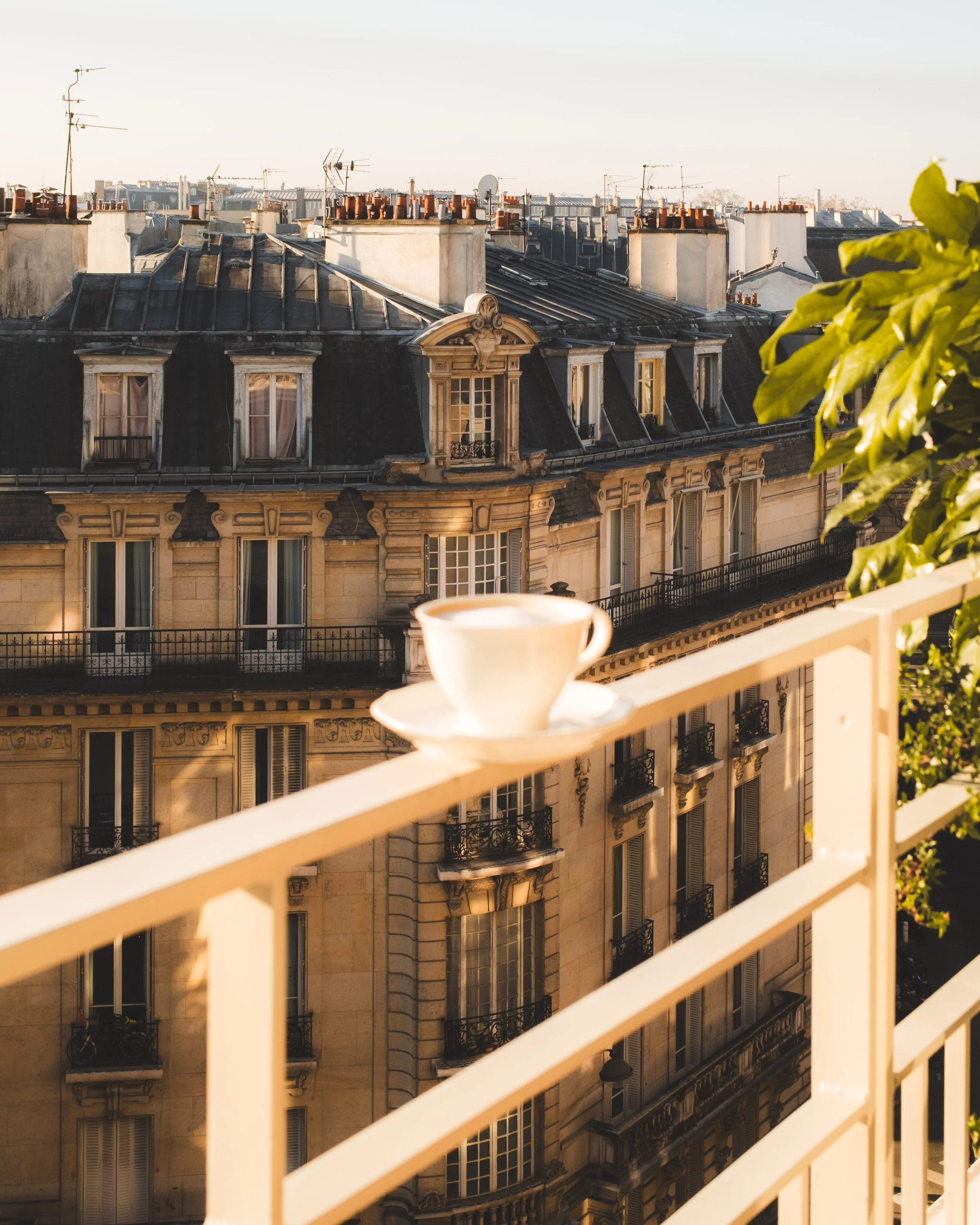 Sunlit Parisian building seen from a balcony with a cup in the foreground and rooftops with chimneys and antennas in the background.