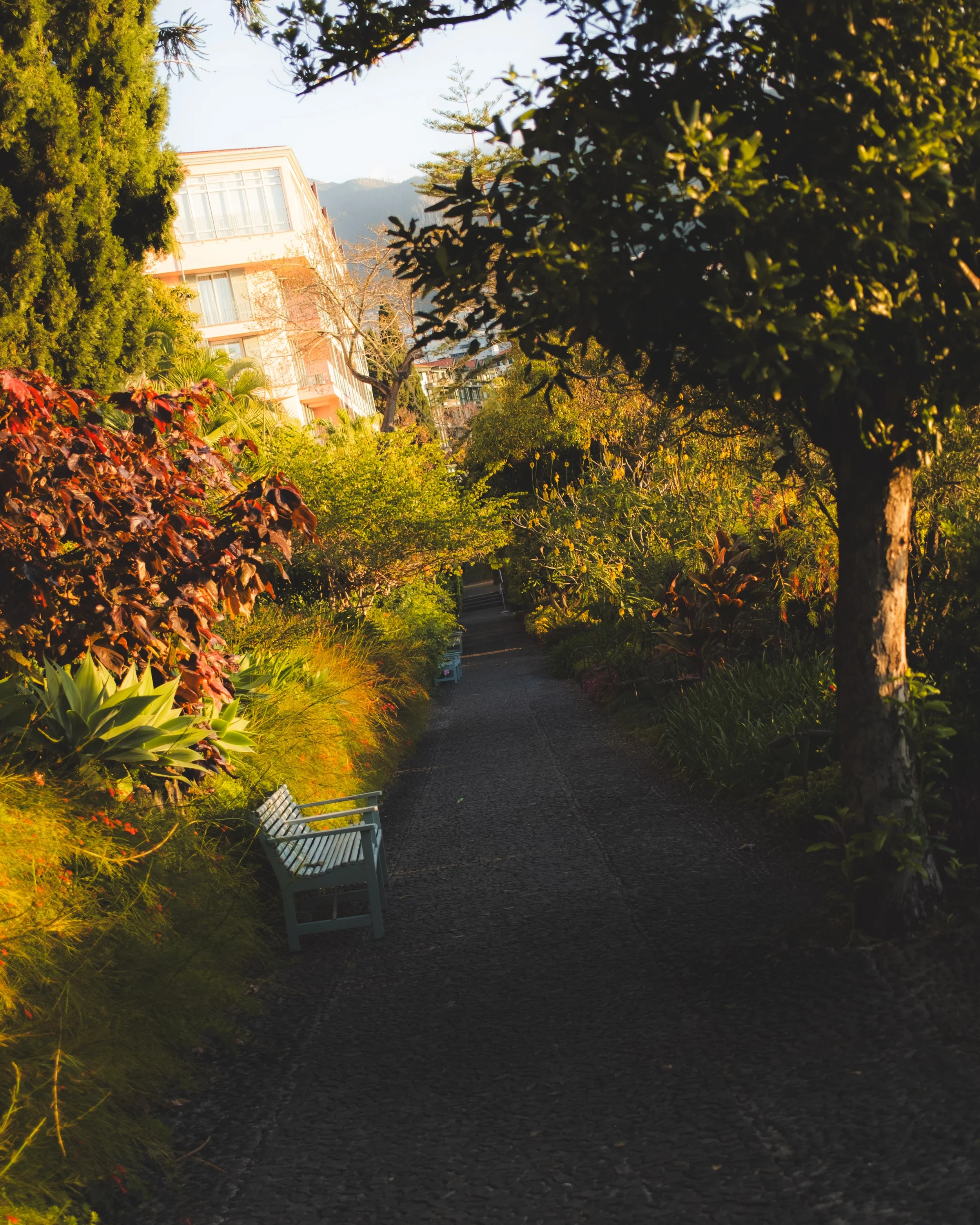 A pathway through a lush garden with colorful plants and bushes on both sides, white benches to the left, and trees creating a canopy overhead. The sunlight casts a warm glow on the scene.