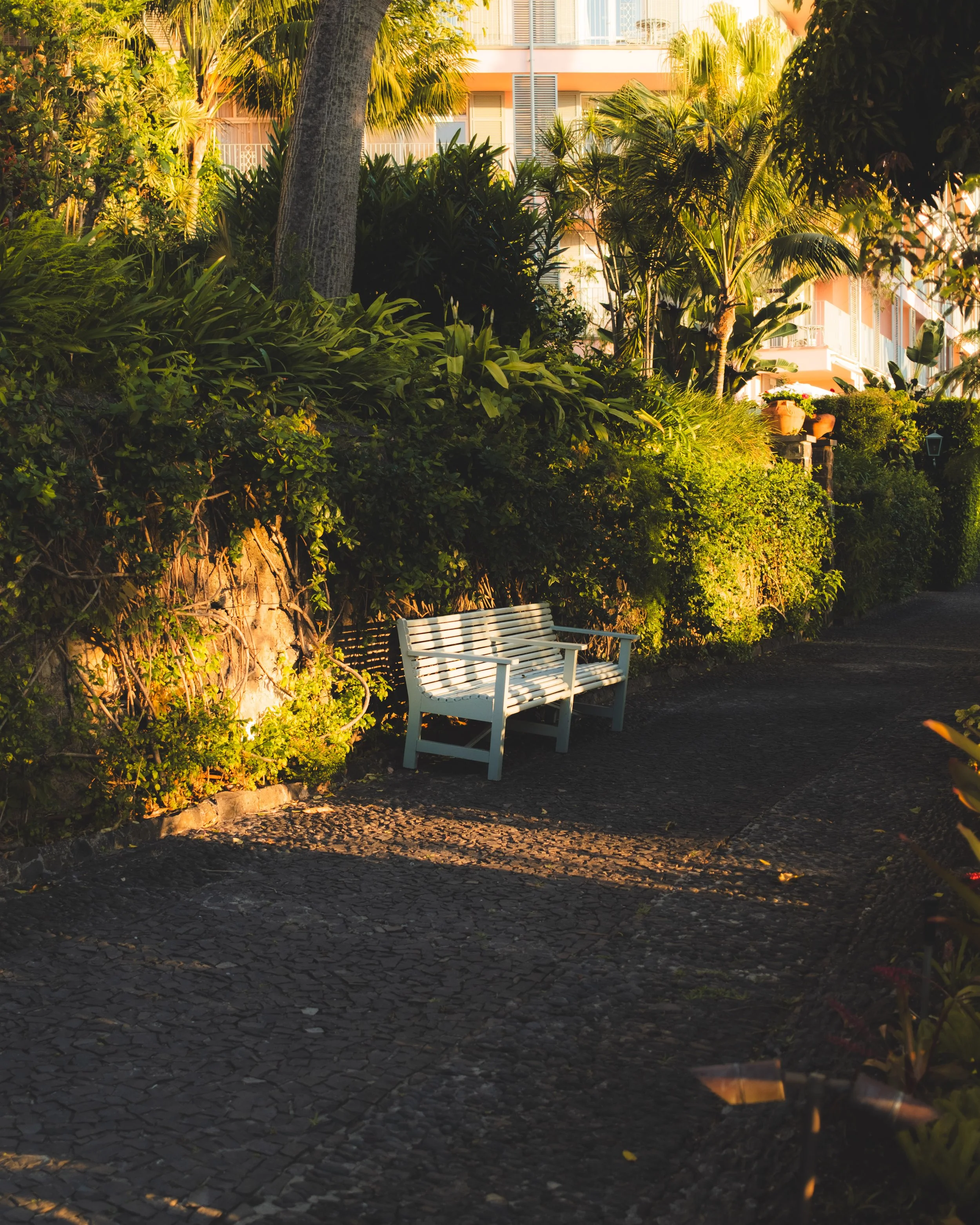 A white metal park bench on a stone-paved pathway surrounded by lush green bushes and trees, with a building in the background illuminated by warm sunlight.
