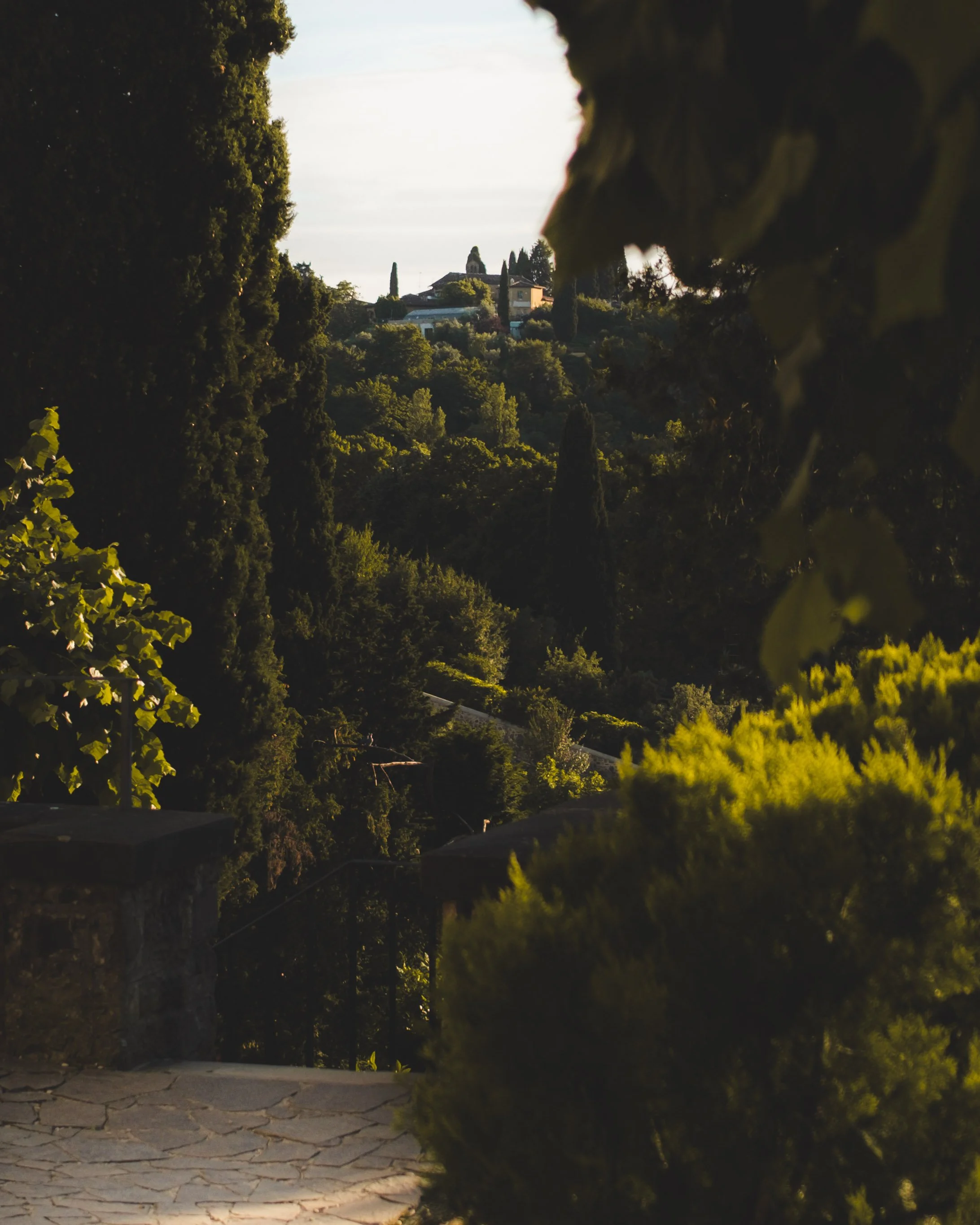 Tree-lined hillside with houses in the distance, framed by leaves and greenery, sunset lighting. Lionel Chu - Hotel & Travel Photographer