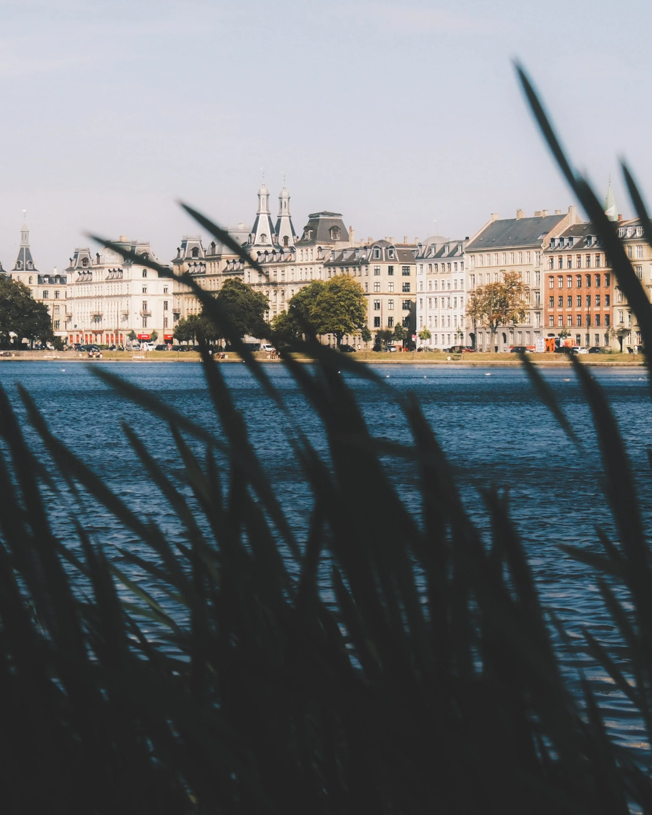 Cityscape view of historic European-style buildings along a waterfront with water and trees in the foreground.