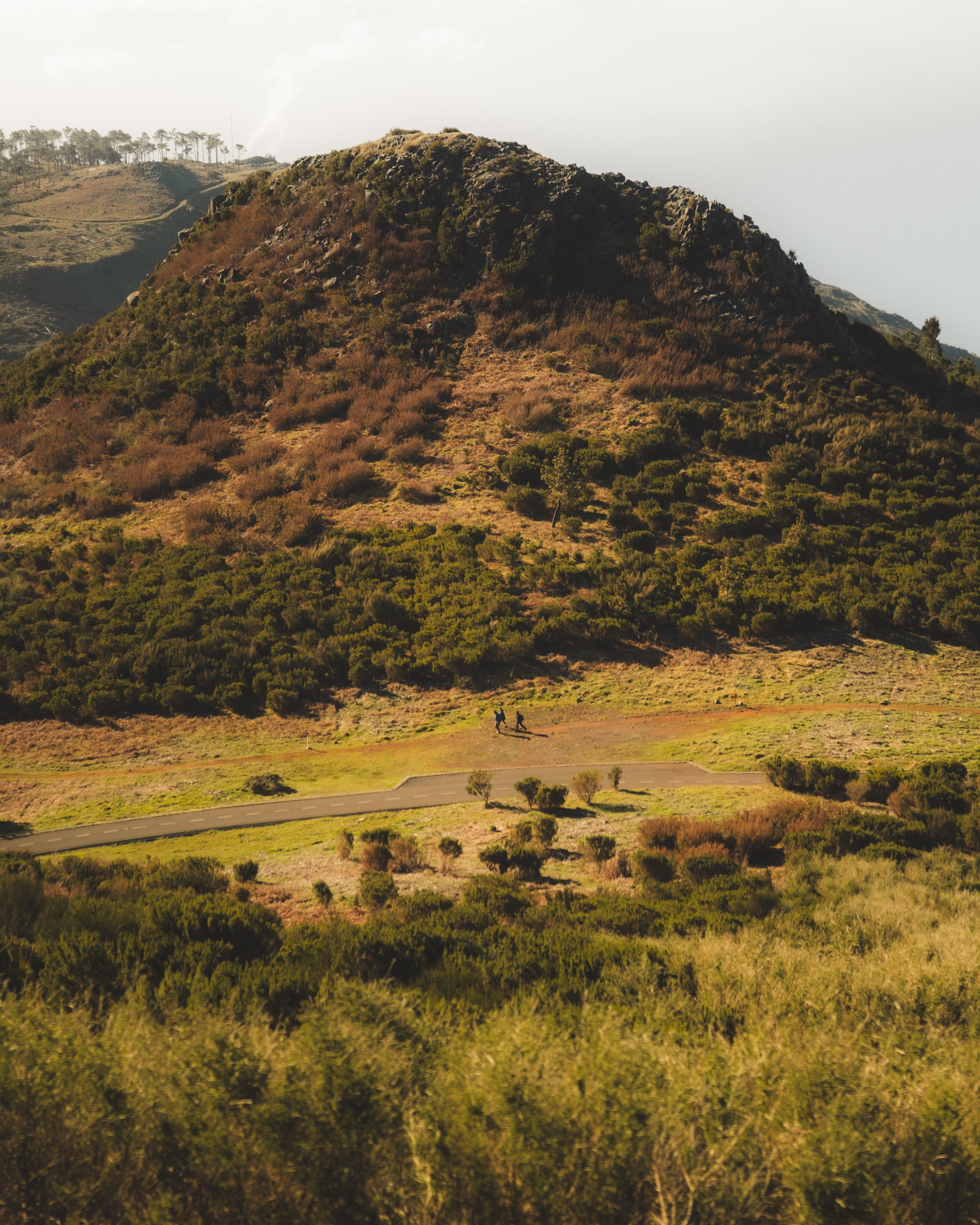 A hillside covered with bushes and trees with two people walking along a trail in the foreground, a mountain in the background, and a clear sky.
