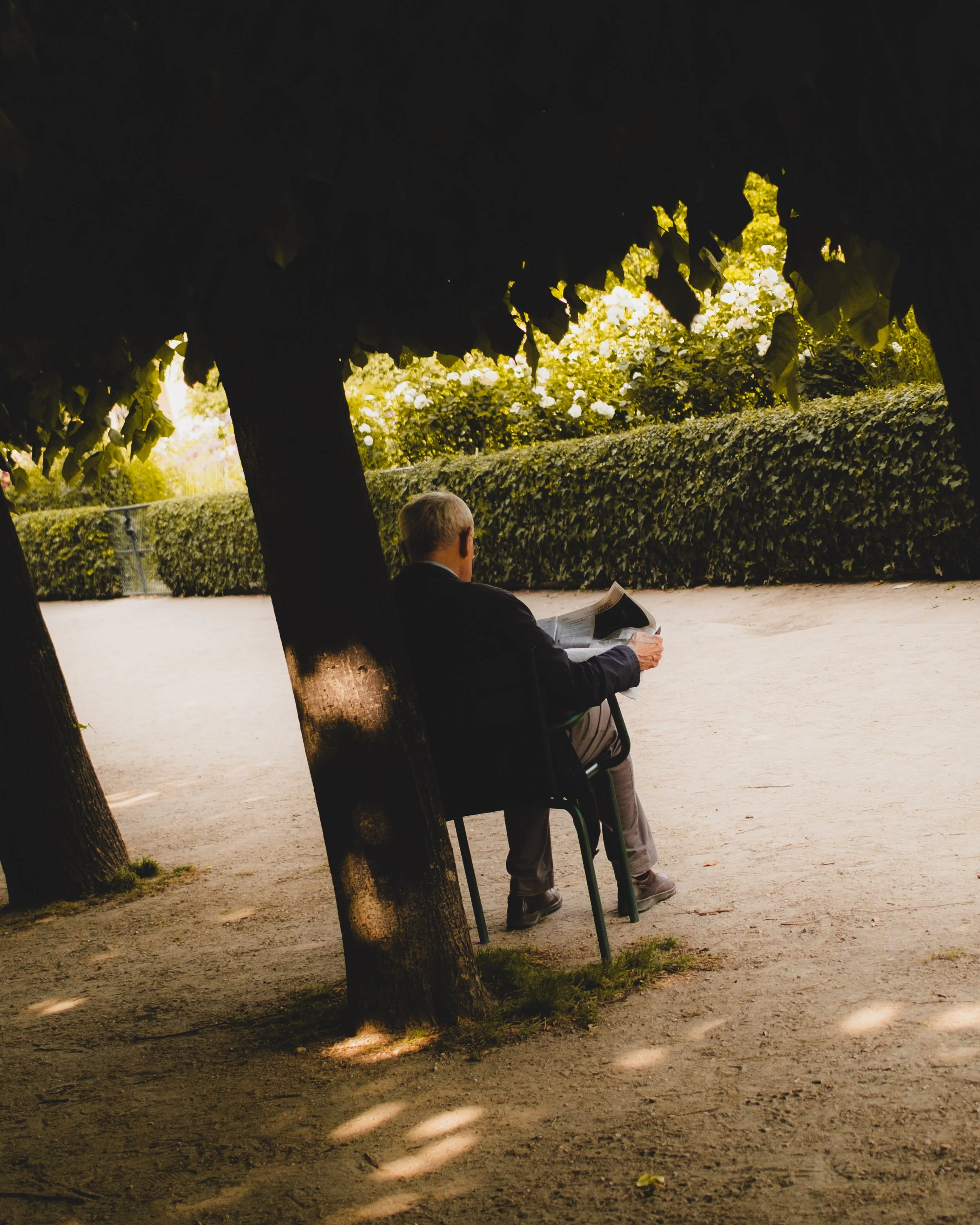 An older man with blond hair reading a newspaper while sitting on a green chair under a large leafy tree in a park. Lionel Chu - Hotel & Travel Photographer.