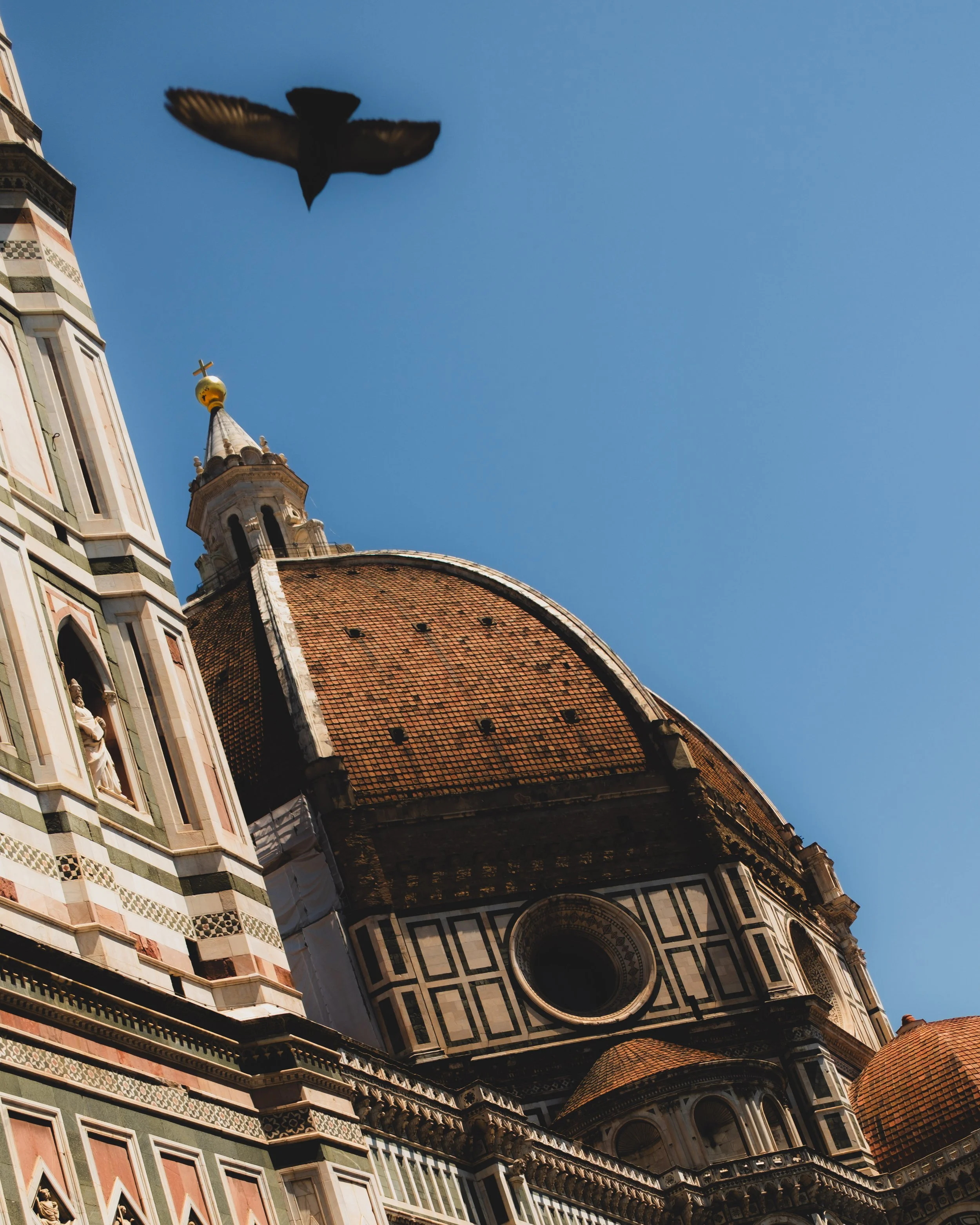 The dome of a historic Italian cathedral with detailed architectural decorations, seen from below, with a bird flying overhead against a plain sky. Lionel Chu - Hotel & Travel Photographer
