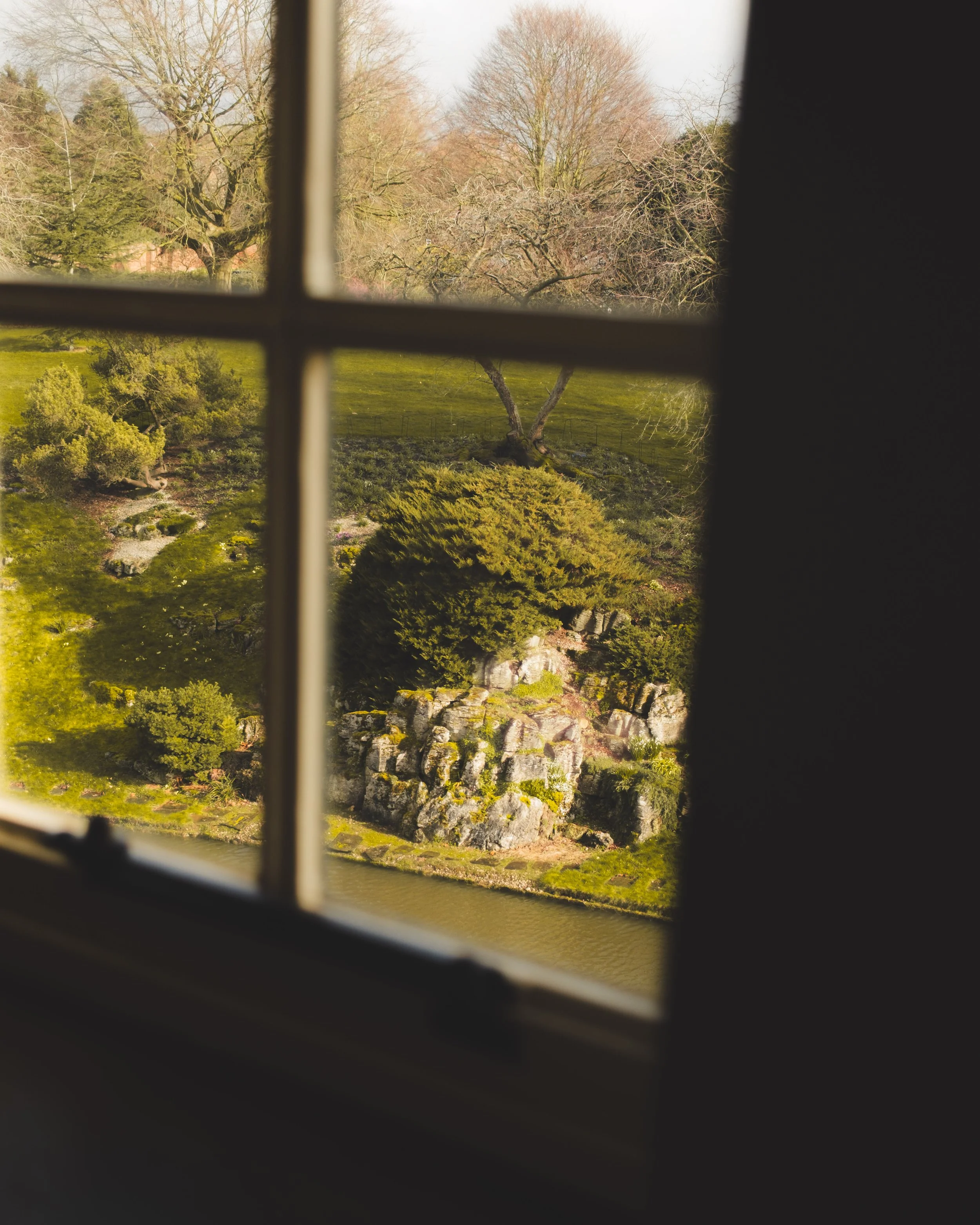 View of a garden with trees, bushes, and rocks seen through a window divided into four panes.