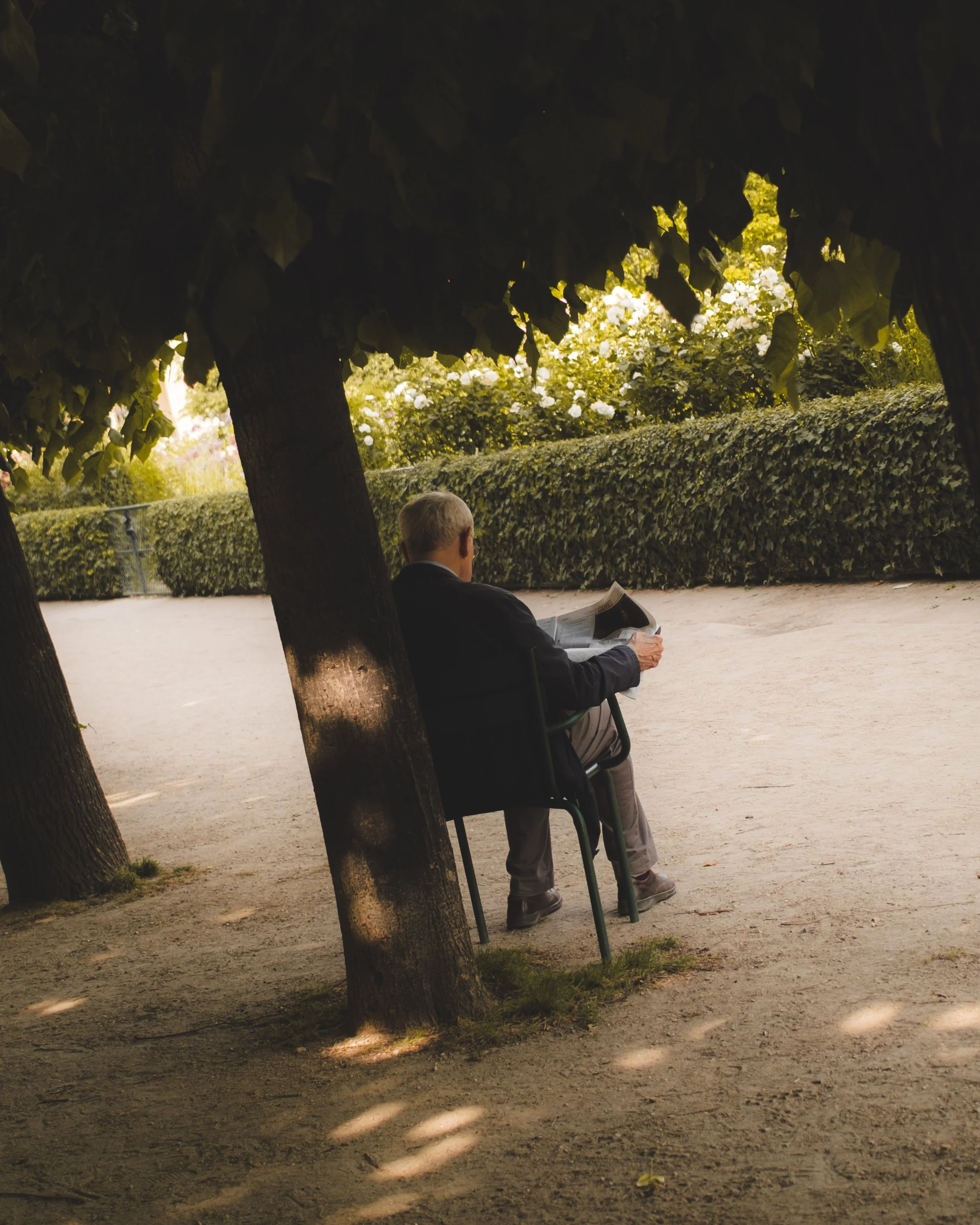 A man with gray hair sitting on a bench reading a newspaper in a park, partially obscured by two trees, with a hedge and white flowers in the background.