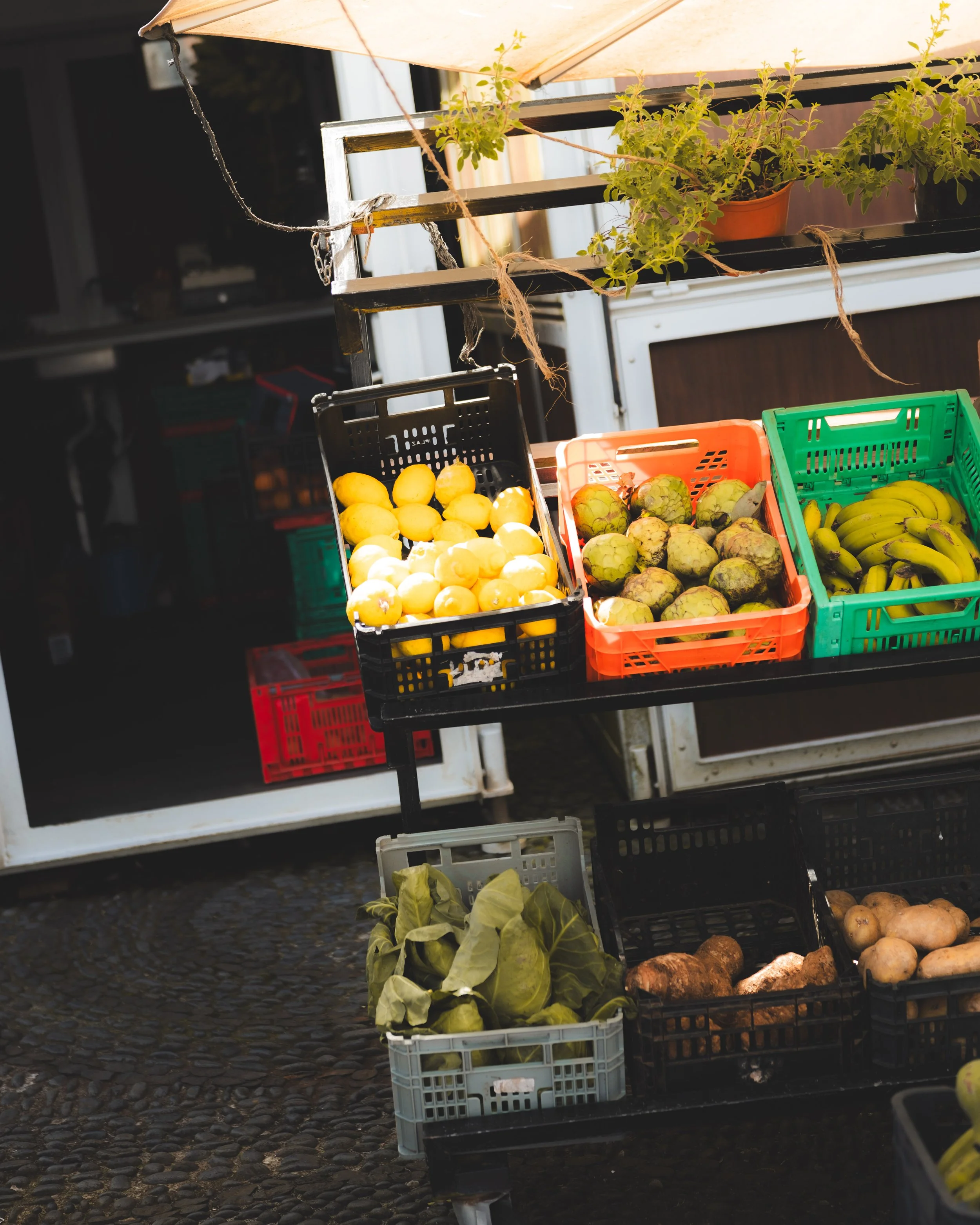 Street vendor stand with crates of produce, including potatoes, artichokes, bananas, and cabbages, set up outdoors on a cobblestone surface under a canopy.