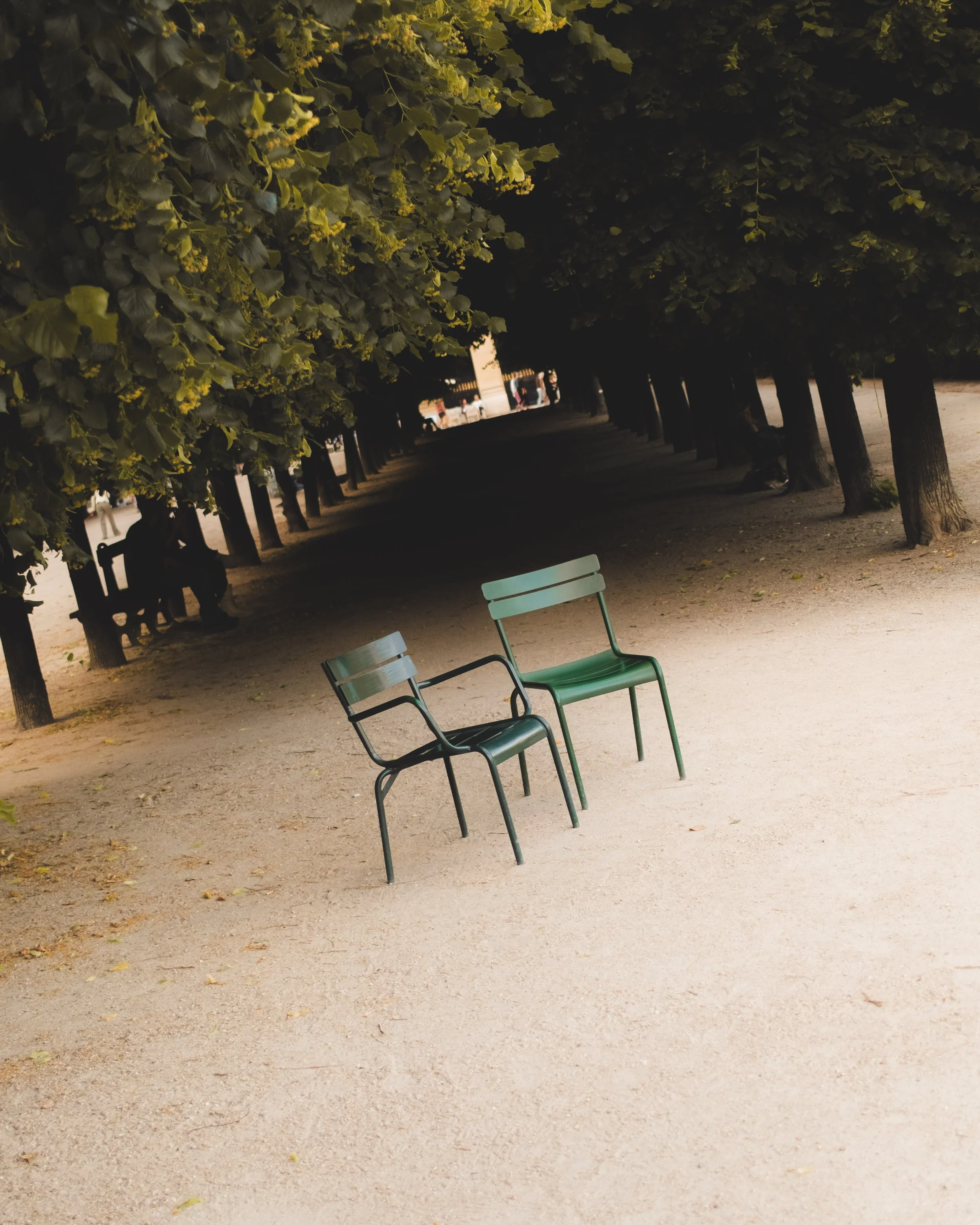 Empty green and black metal chairs in a park, with trees and people in the background at night.