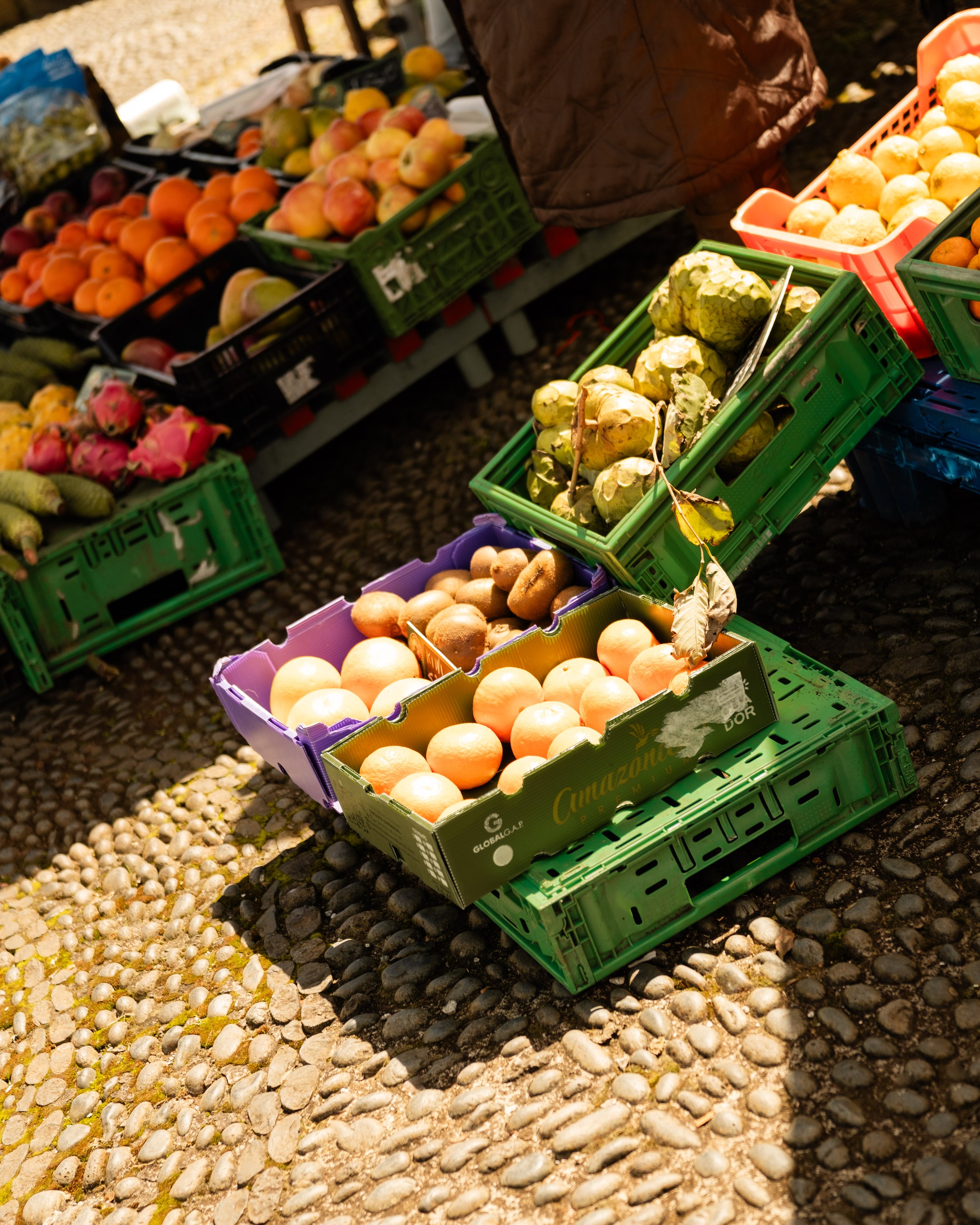 Arranged crates of fresh fruits including oranges, apples, kiwis, and possibly other seasonal produce at an outdoor market.
