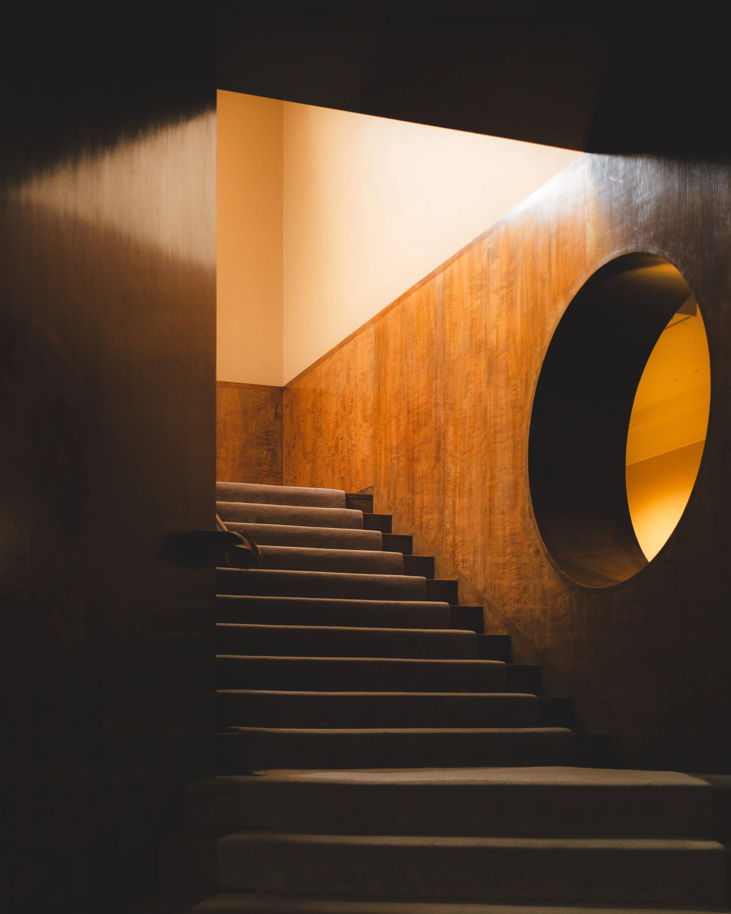 A staircase with dark steps and a curved wooden banister, illuminated by warm lighting. The scene is framed by dark shadows on both sides.