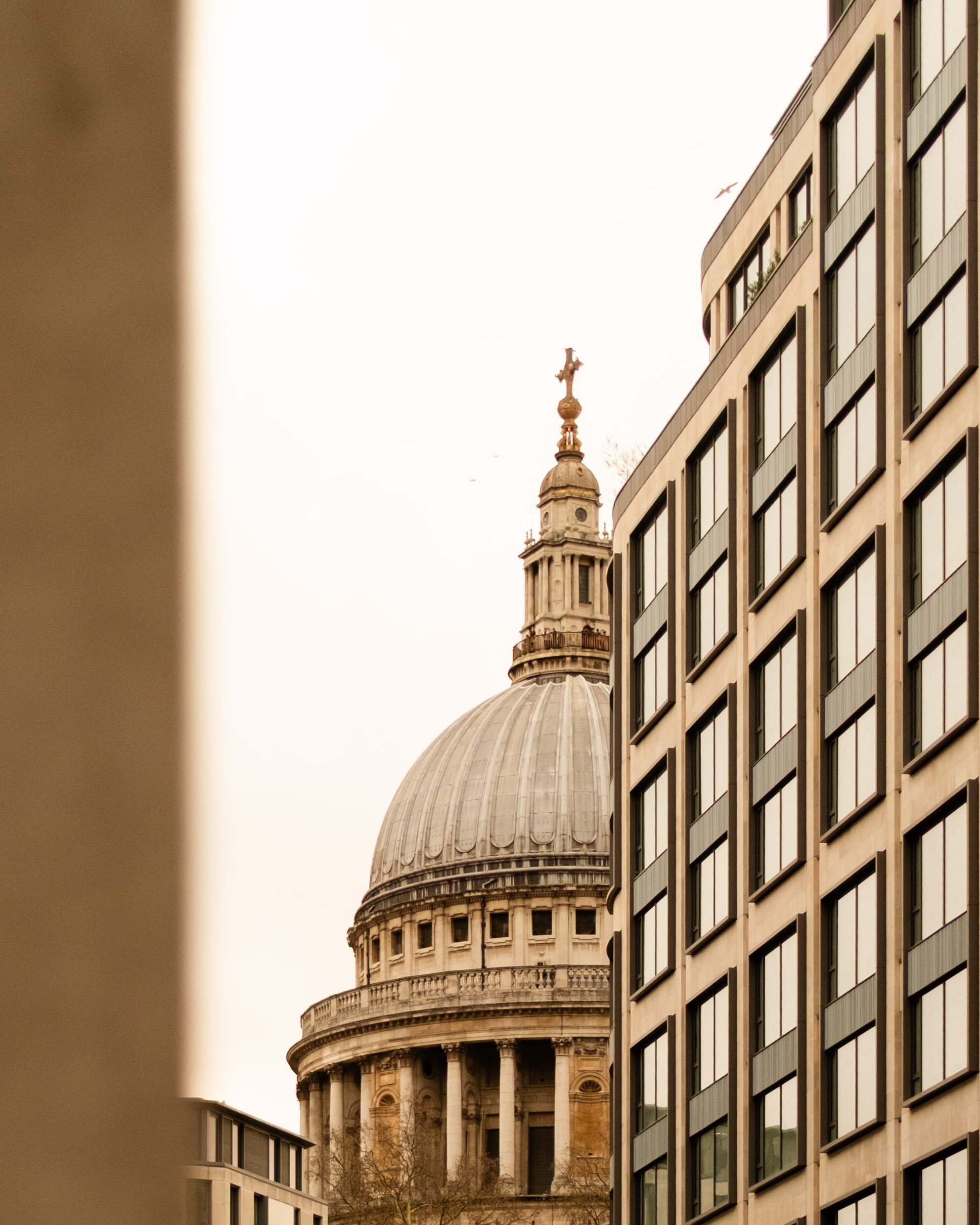 View of St. Paul's Cathedral dome framed between modern buildings in London. Lionel Chu - Hotel & Travel Photographer
