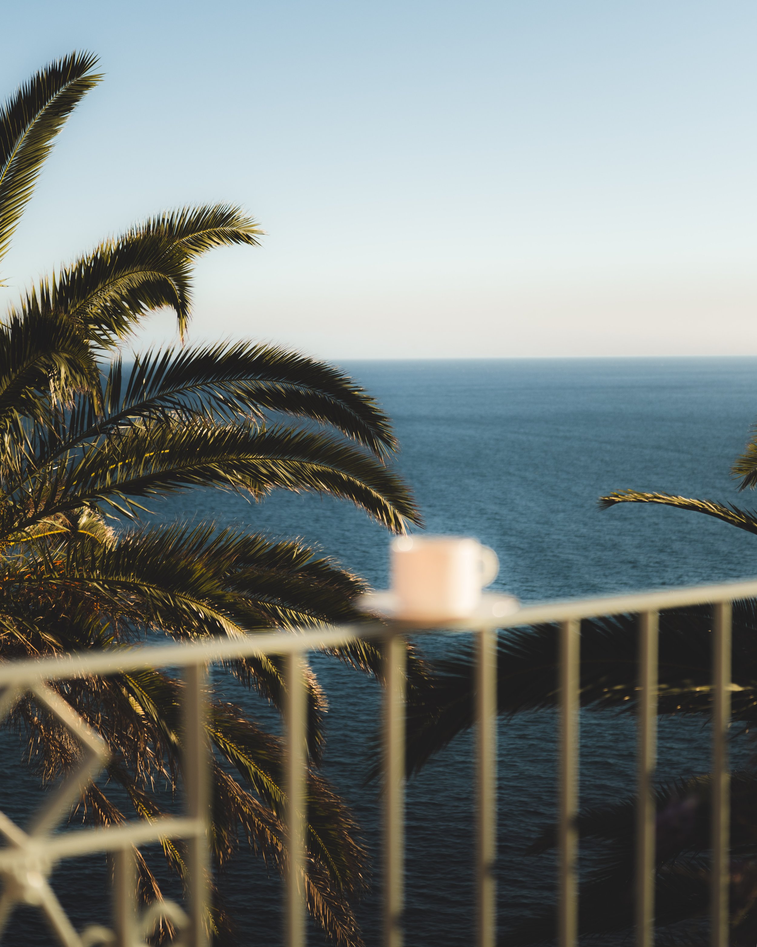 View of the ocean with palm tree fronds in the foreground and a white railing. Clear blue sky above the horizon.
