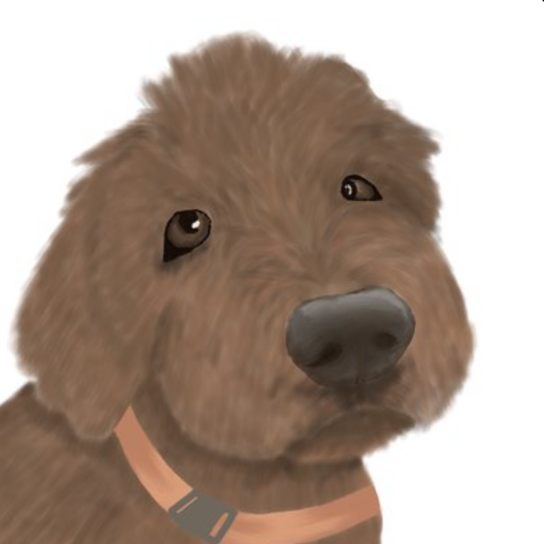 Cooper - Procreate Drawing 2021