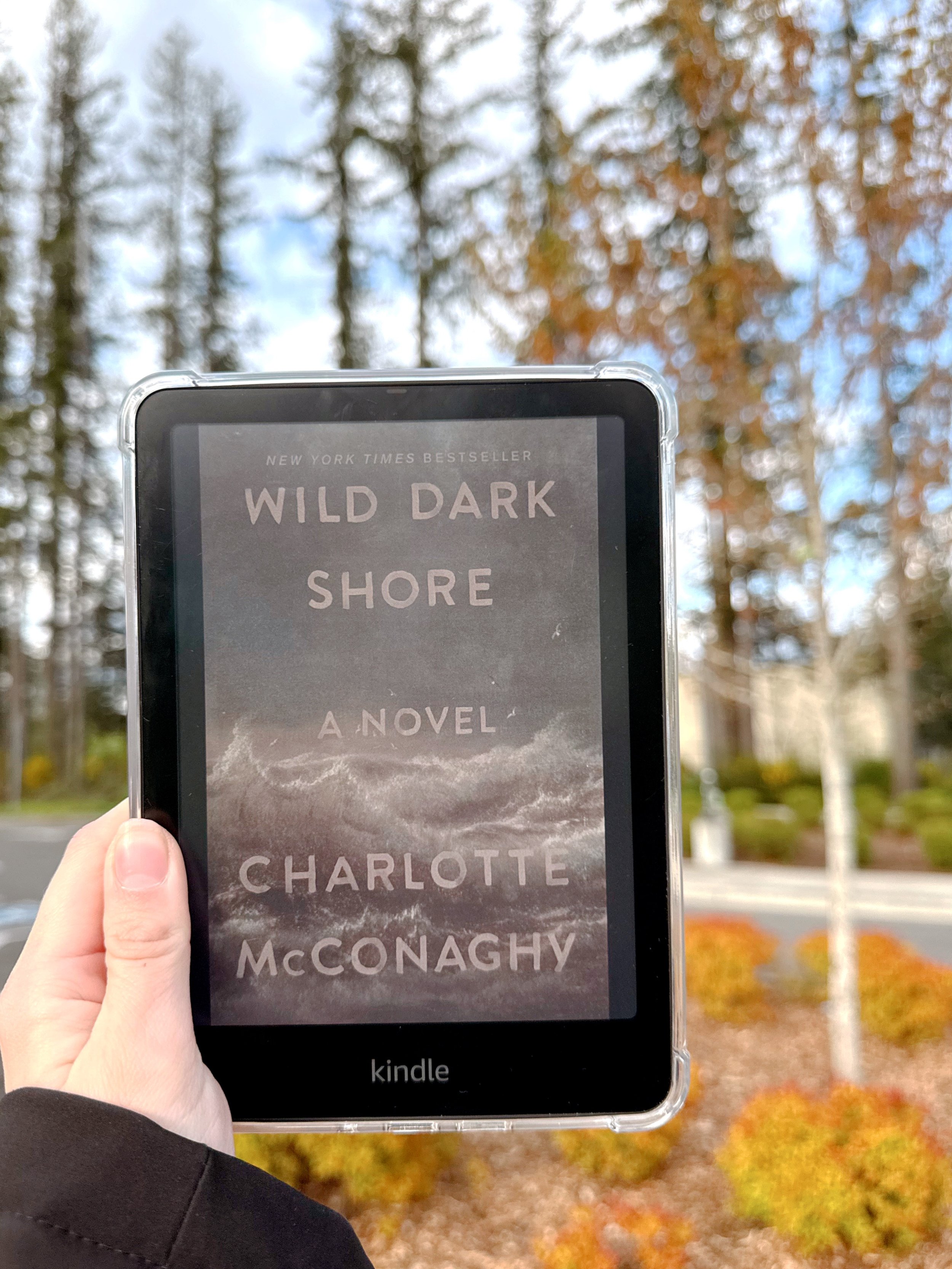 Wild Dark Shores