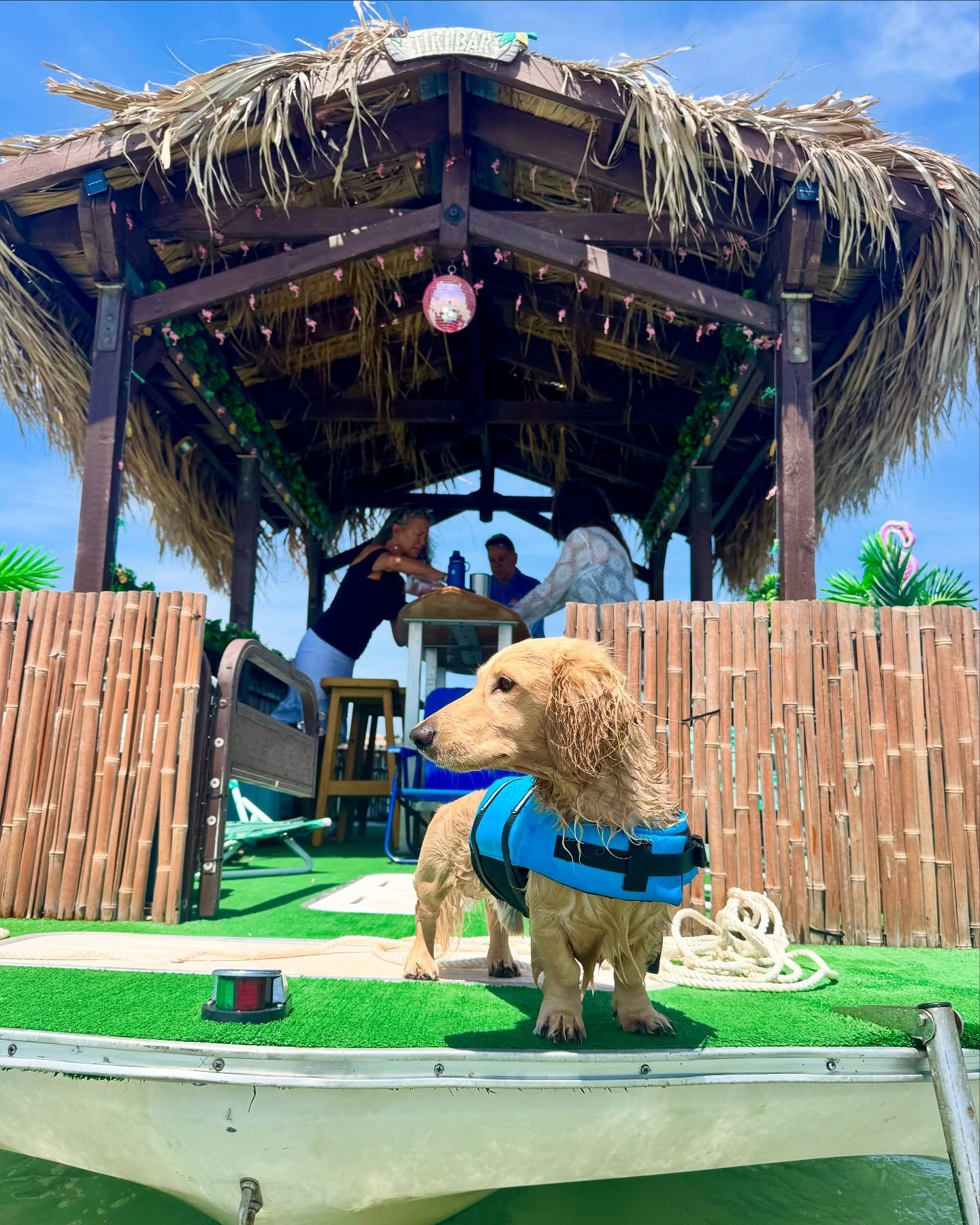 What&rsquo;s better than being on a boat with some of your besties? Being on a boat with some of your besties AND your pup! 🐶 

Well-behaved pups are more than welcome on any of our private cruises - with human supervision, of course. 🥰✨ &gt; &gt; 