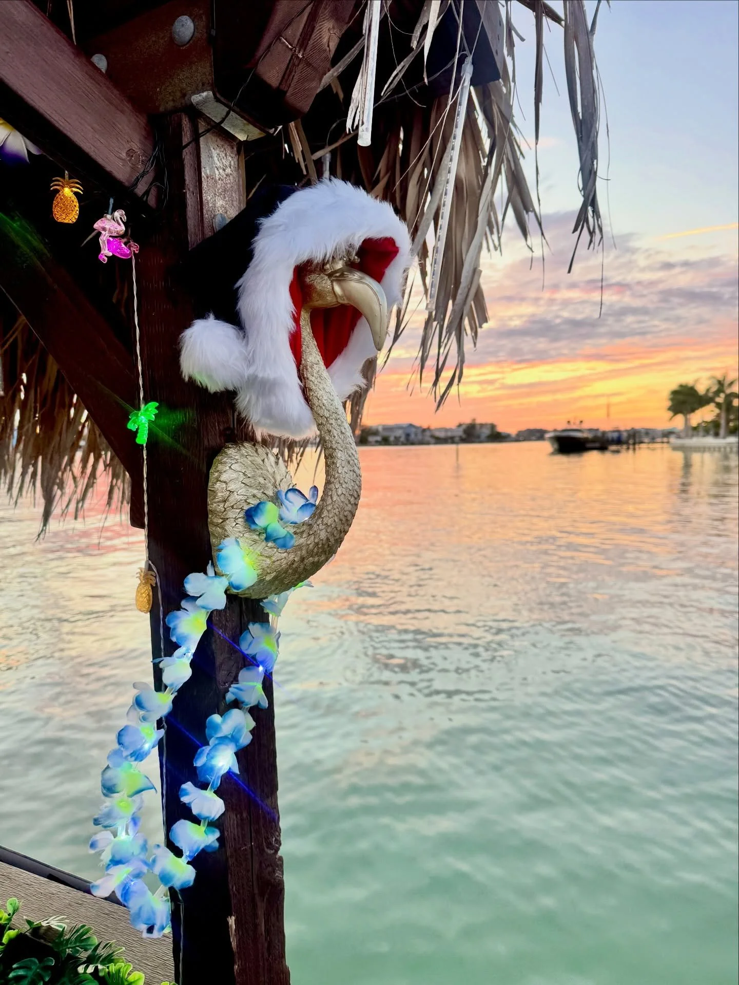 Looking for a last-minute gift? Give the gift of an experience on the water! 💝🌴 #bestholidayever✨ 

> > 🎁 get a FREE bonus gift card with any giftcard purchase! &bull; thetropicaltiki.com 🦩