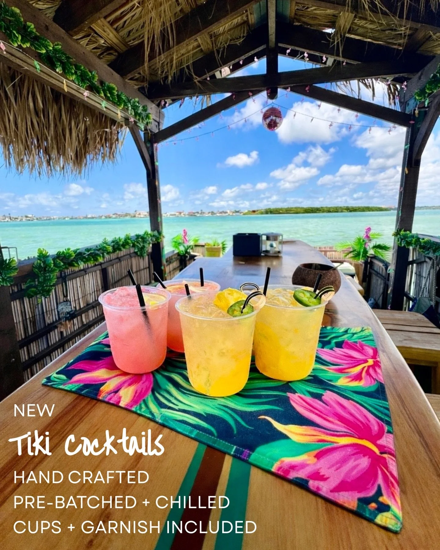 Pre-batched, chilled, and waiting for you when you step aboard&hellip;we&rsquo;re thrilled to announce our new Cocktail Packages! 🍹

No packing a cooler.
No last-minute grocery runs.
You choose the vibe and we&rsquo;ll bring the flavor!

🍋Hibiscus 
