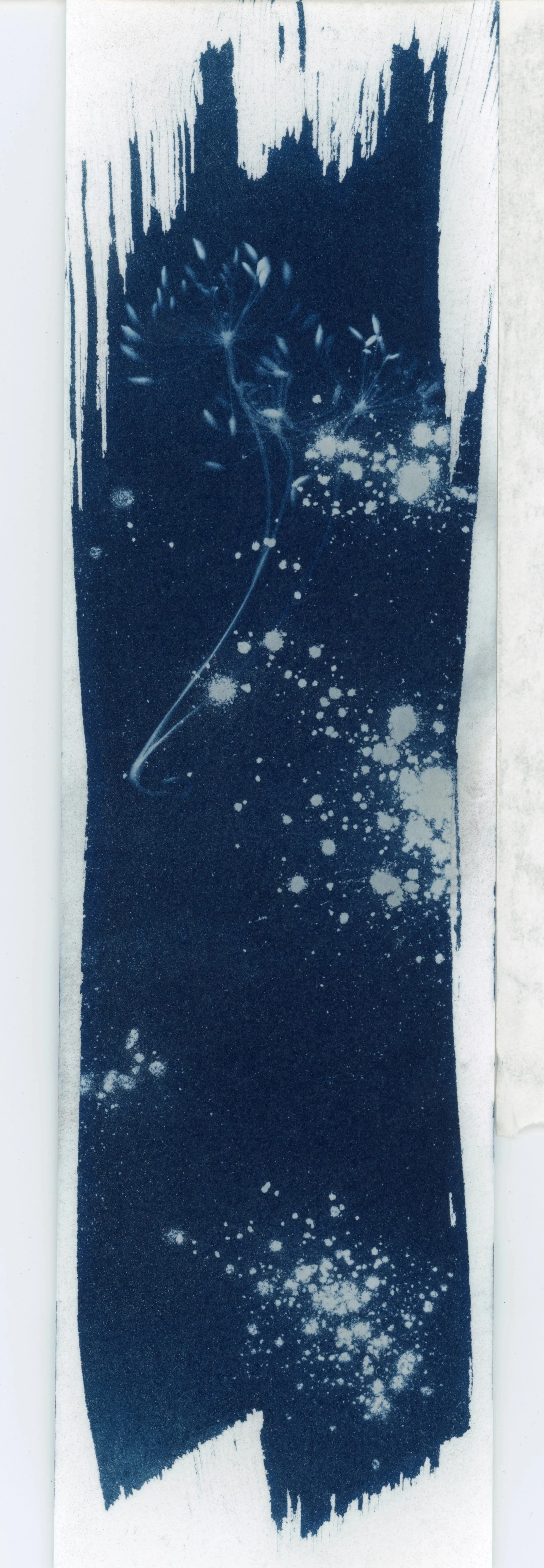 Cyanotype_Bookmark_013.jpg