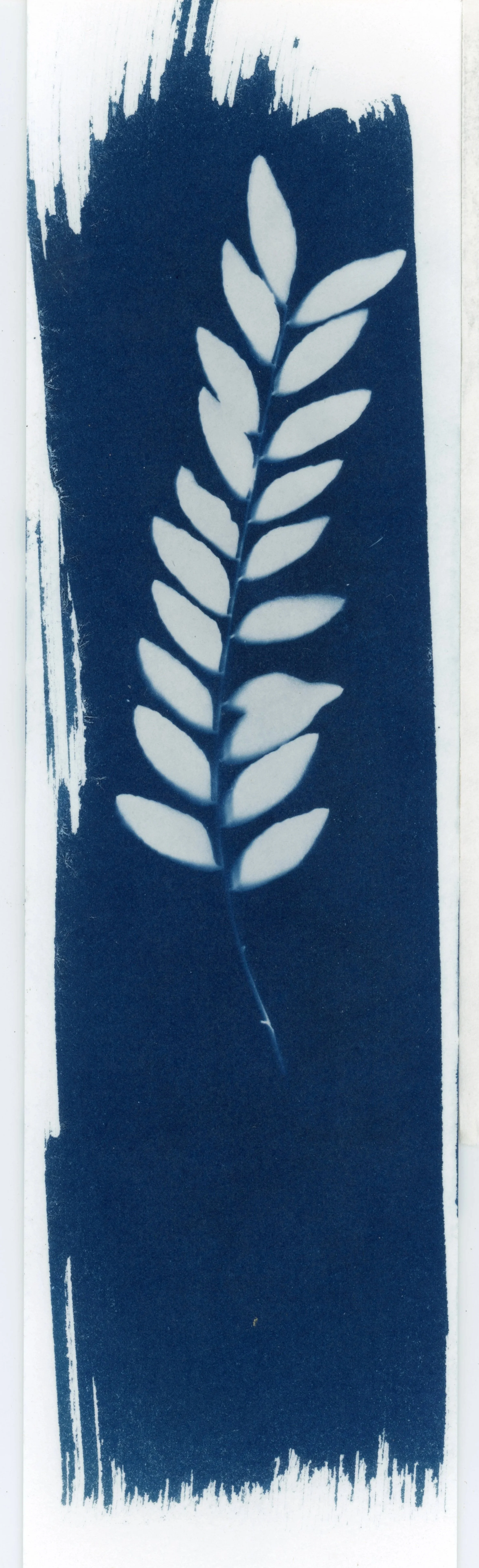 Cyanotype_Bookmark_001.jpg