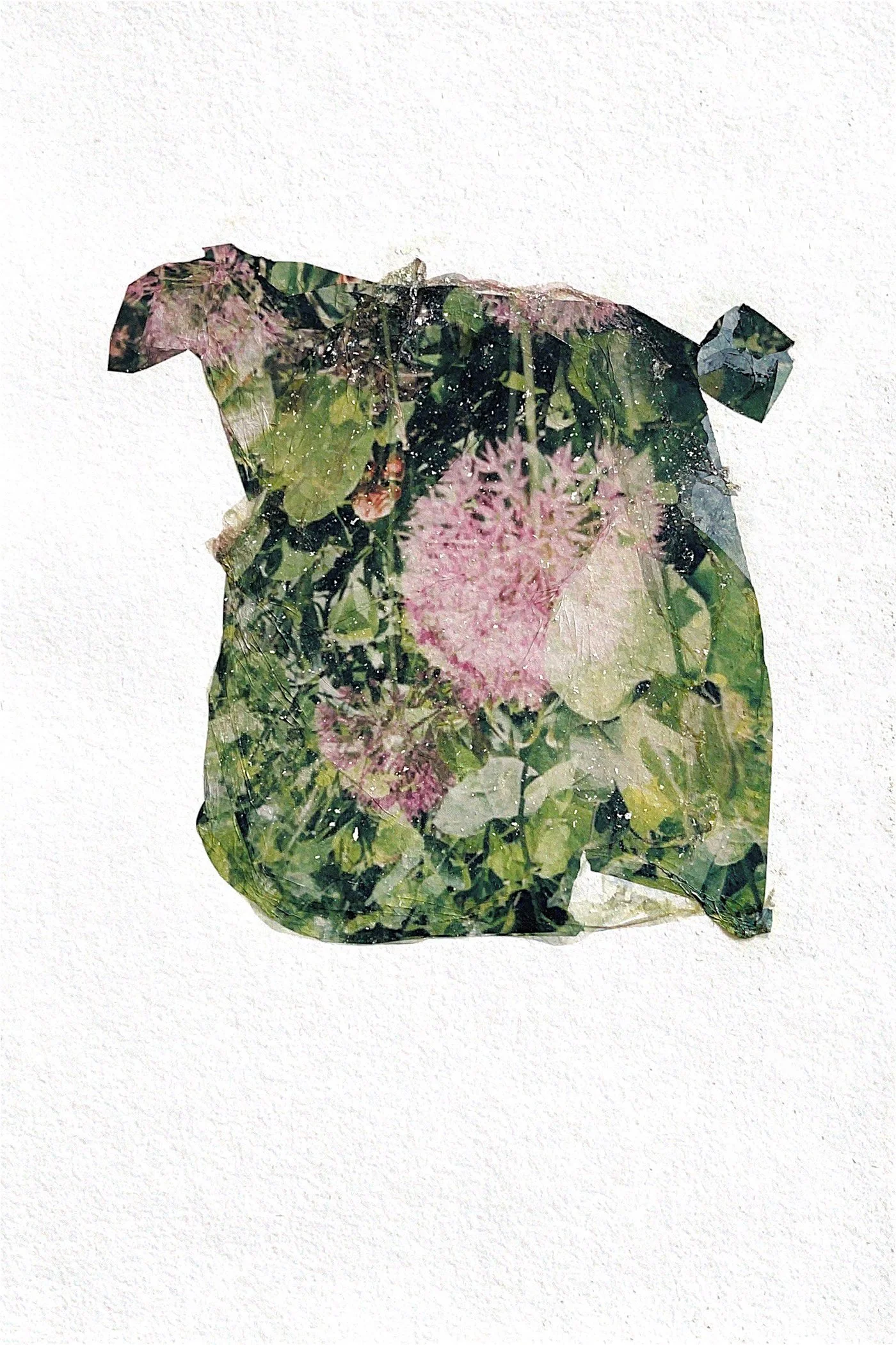 La Maison Beaumont, Provence, 2025 - Photo transfer with botanicals