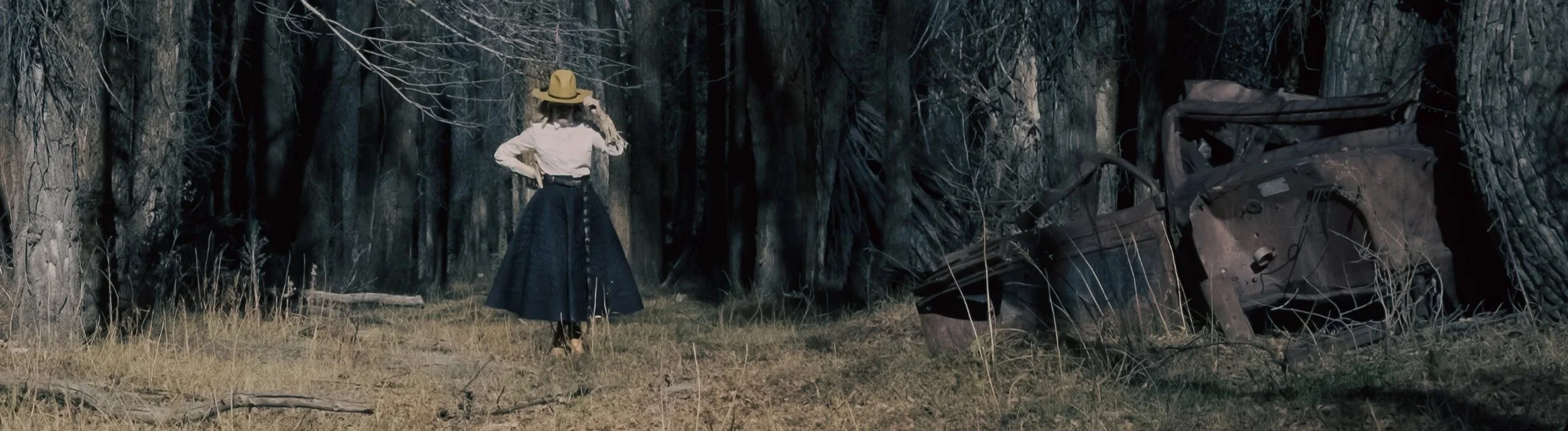 A woman in a white shirt, black skirt, and wide-brimmed hat stands in a forest, looking at a wrecked vehicle leaning against a tree.