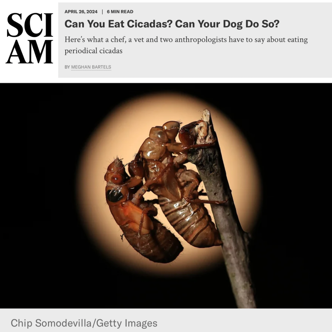 Scientific American - Apr 26, 2024