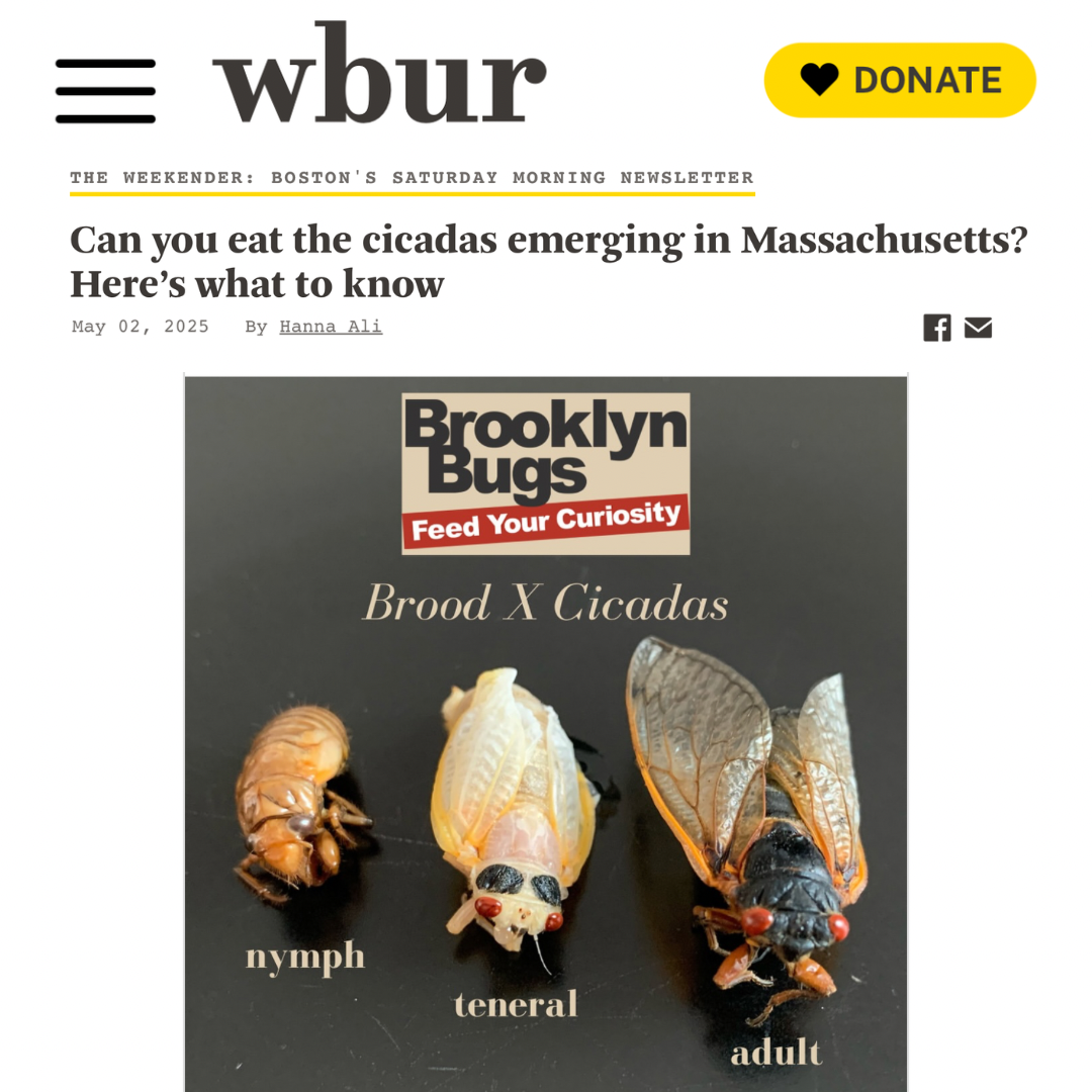 WBUR - The Weekender - May 2, 2025