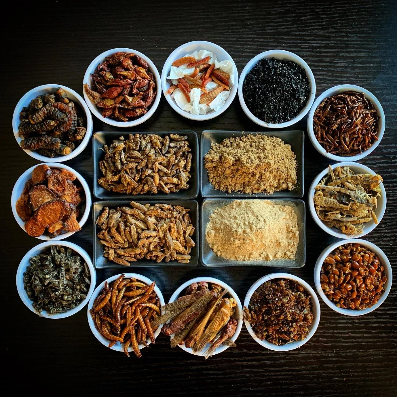Brooklyn Bugs Store | Edible Insect Snacks, Sustainable Food Products ...
