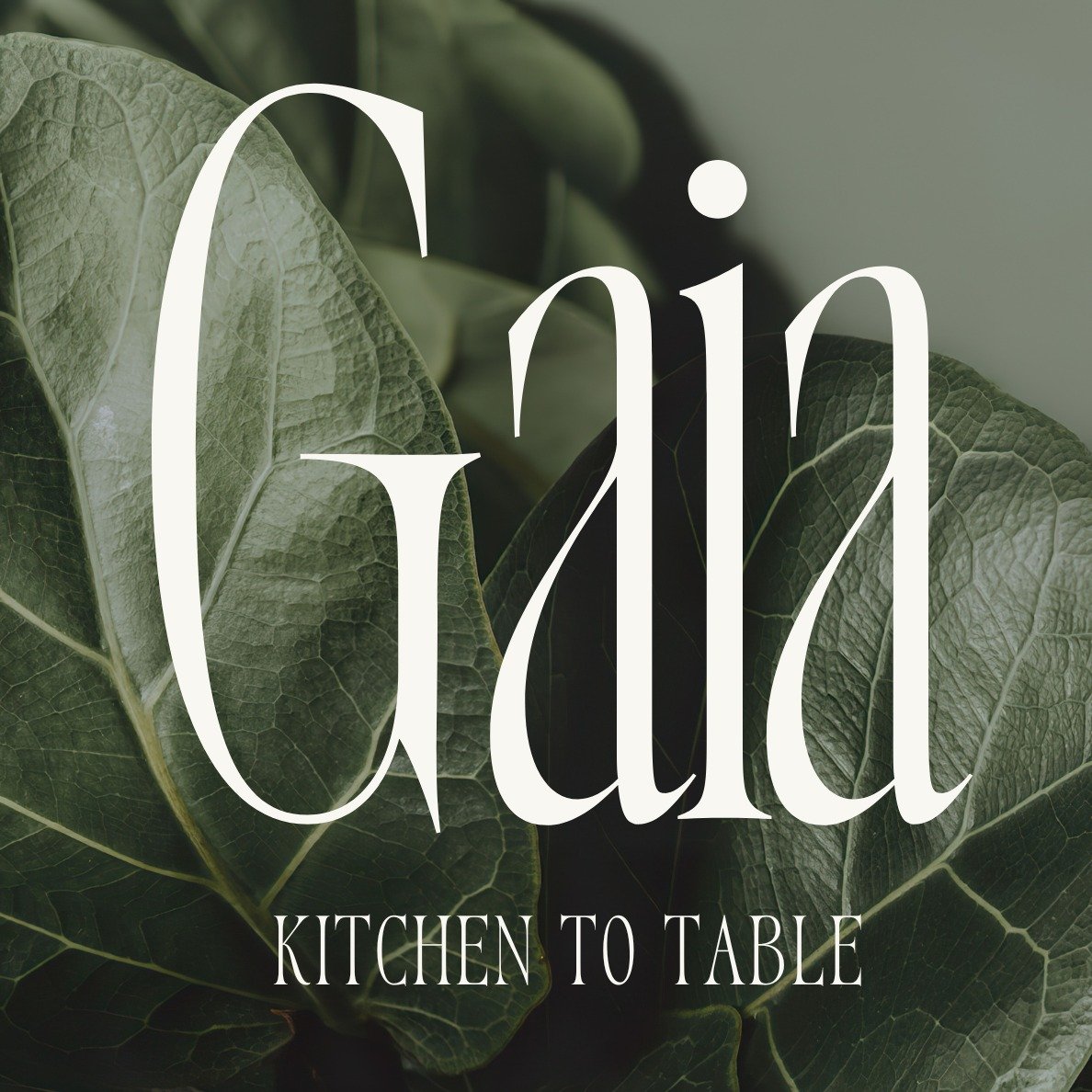Dear friends,

We&rsquo;re excited to share an important update with you. After thoughtful reflection and inspiration from our core values, we&rsquo;ve officially renamed our company from Food Filosophy to Gaia, Kitchen To Table.

The word &ldquo;Gai